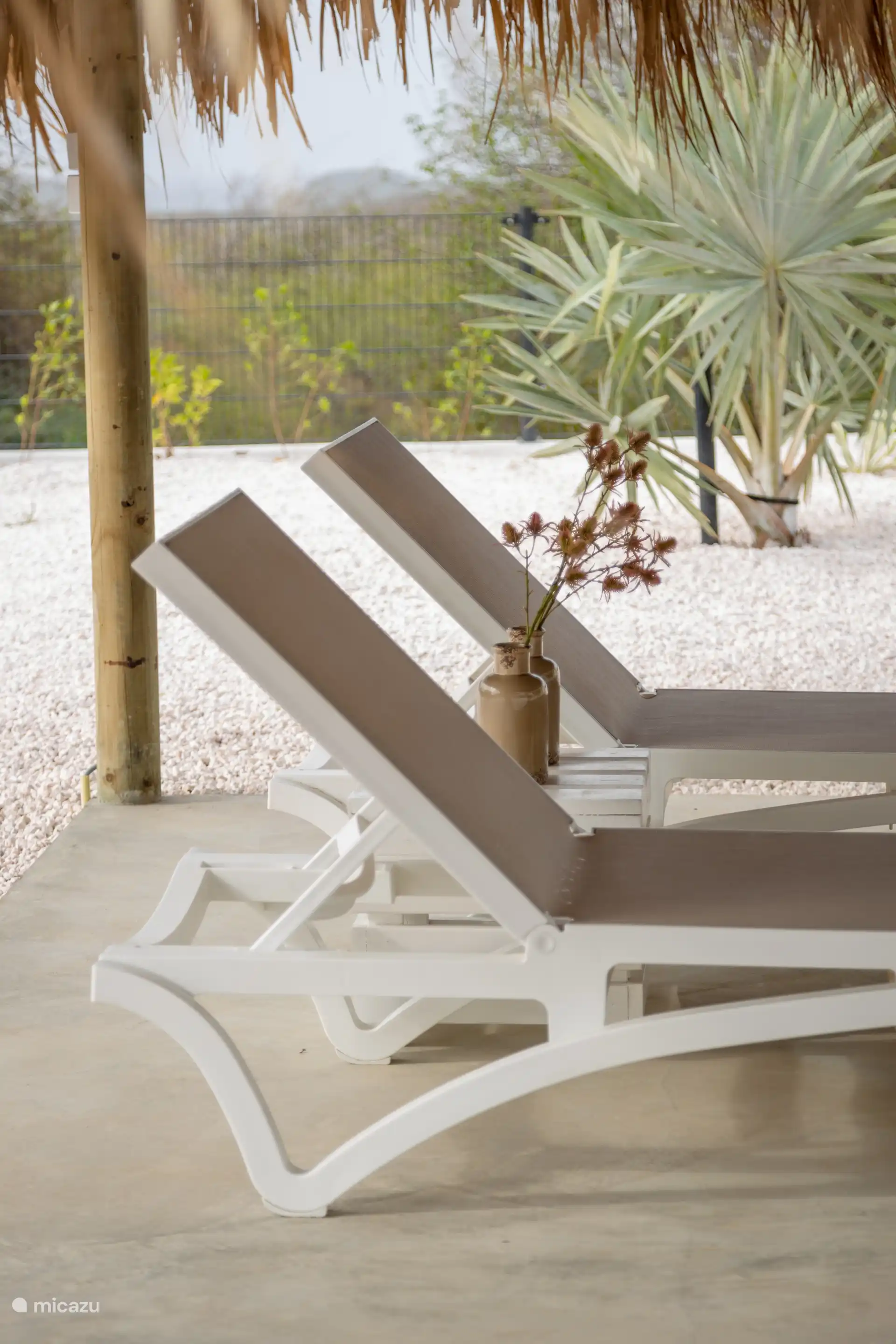 Mooie zonnebedden voorbij het zwembad of onder de Palapa