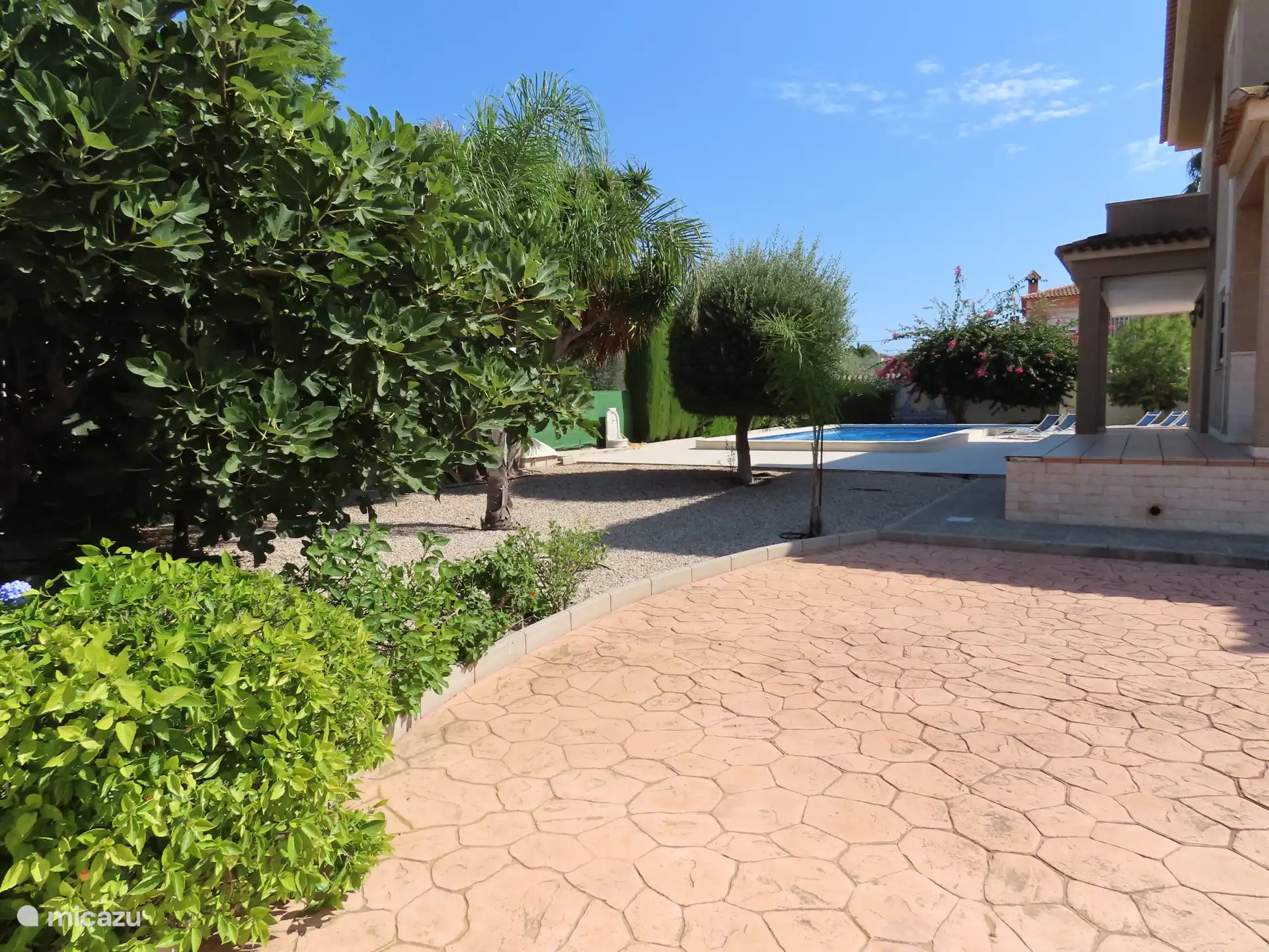 Un beau jardin avec de belles plantes 