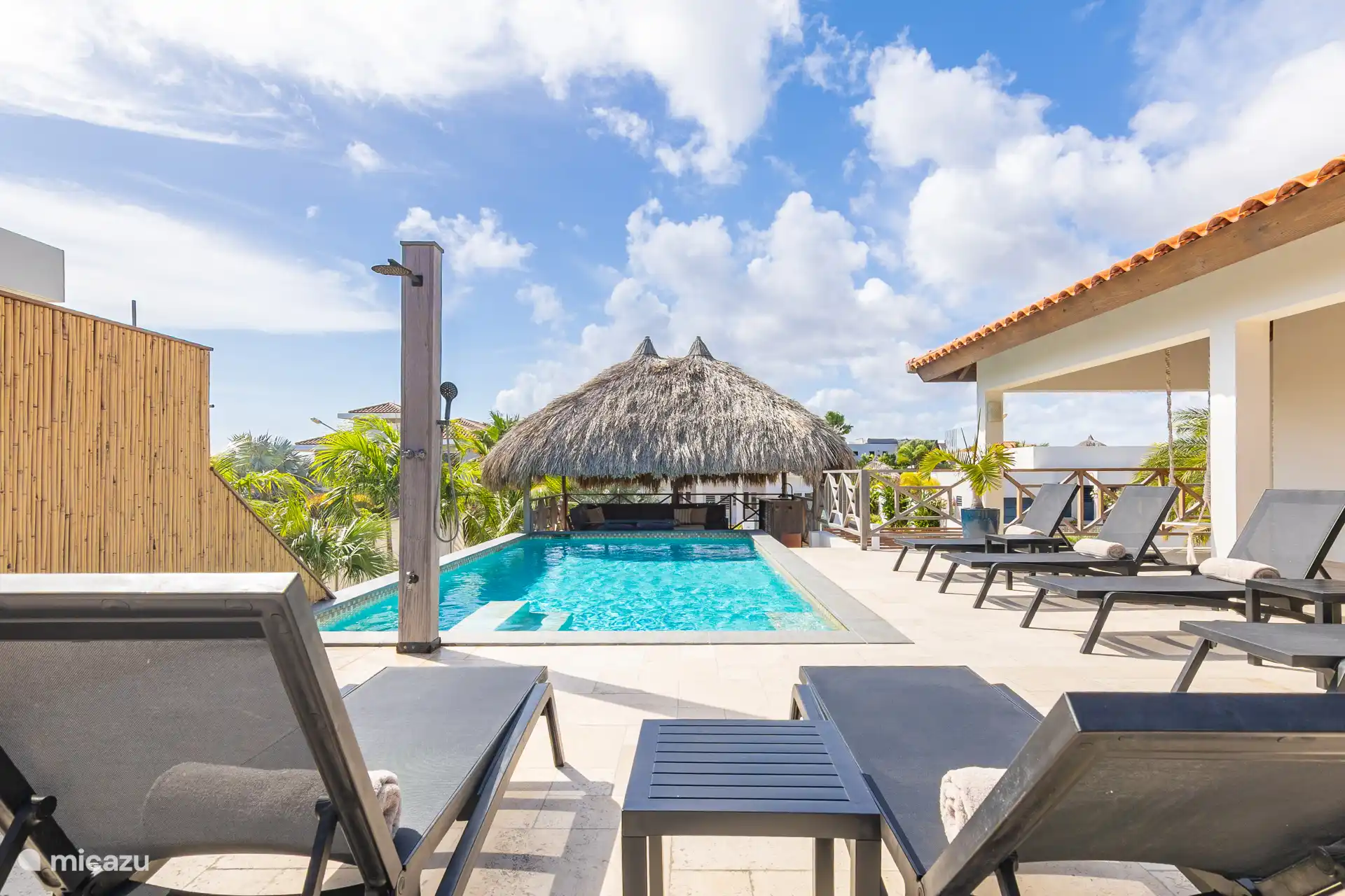 Grande terrasse avec piscine.