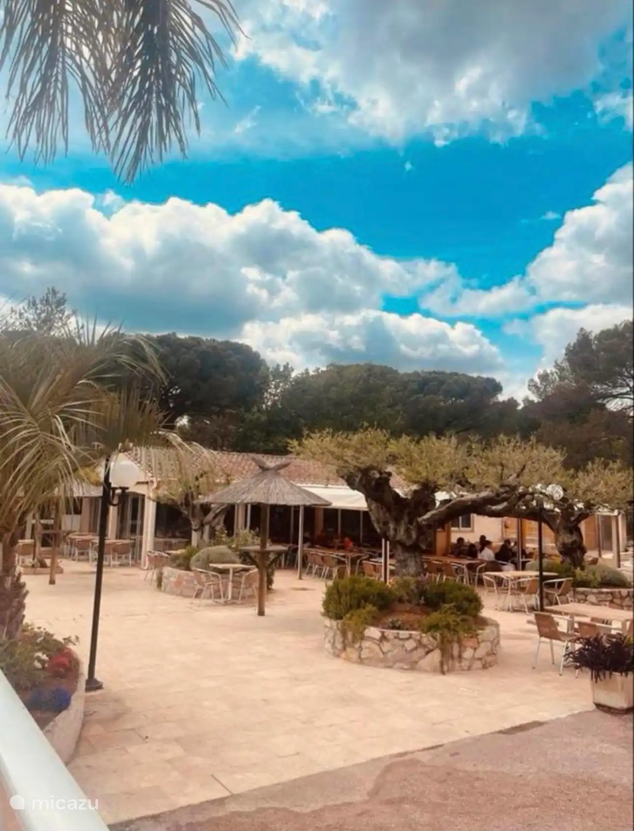 Restaurant lei Suves 