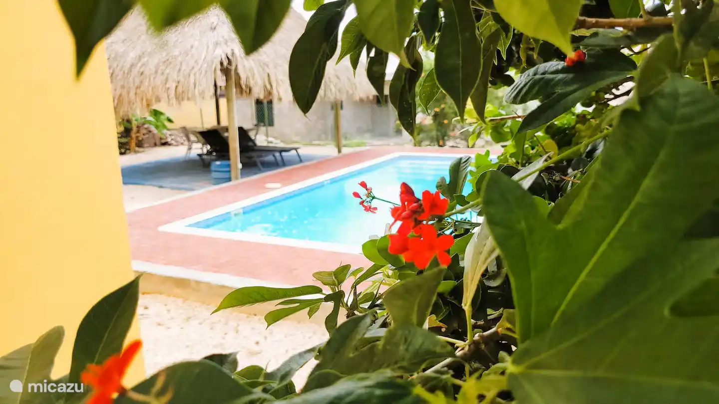 holiday house in Curaçao, Banda Abou (West), Fontein – Jumelle A
