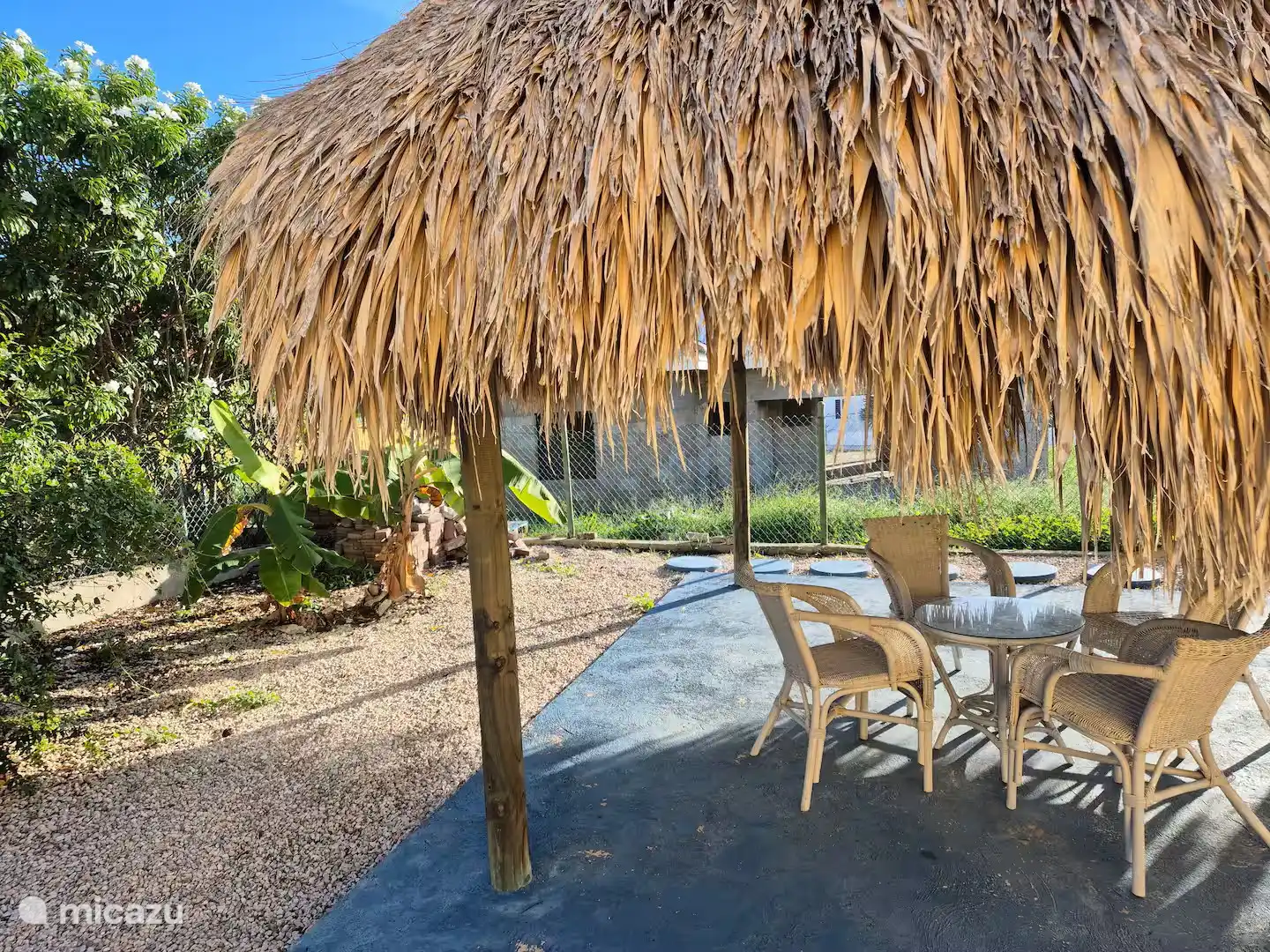 palapa
