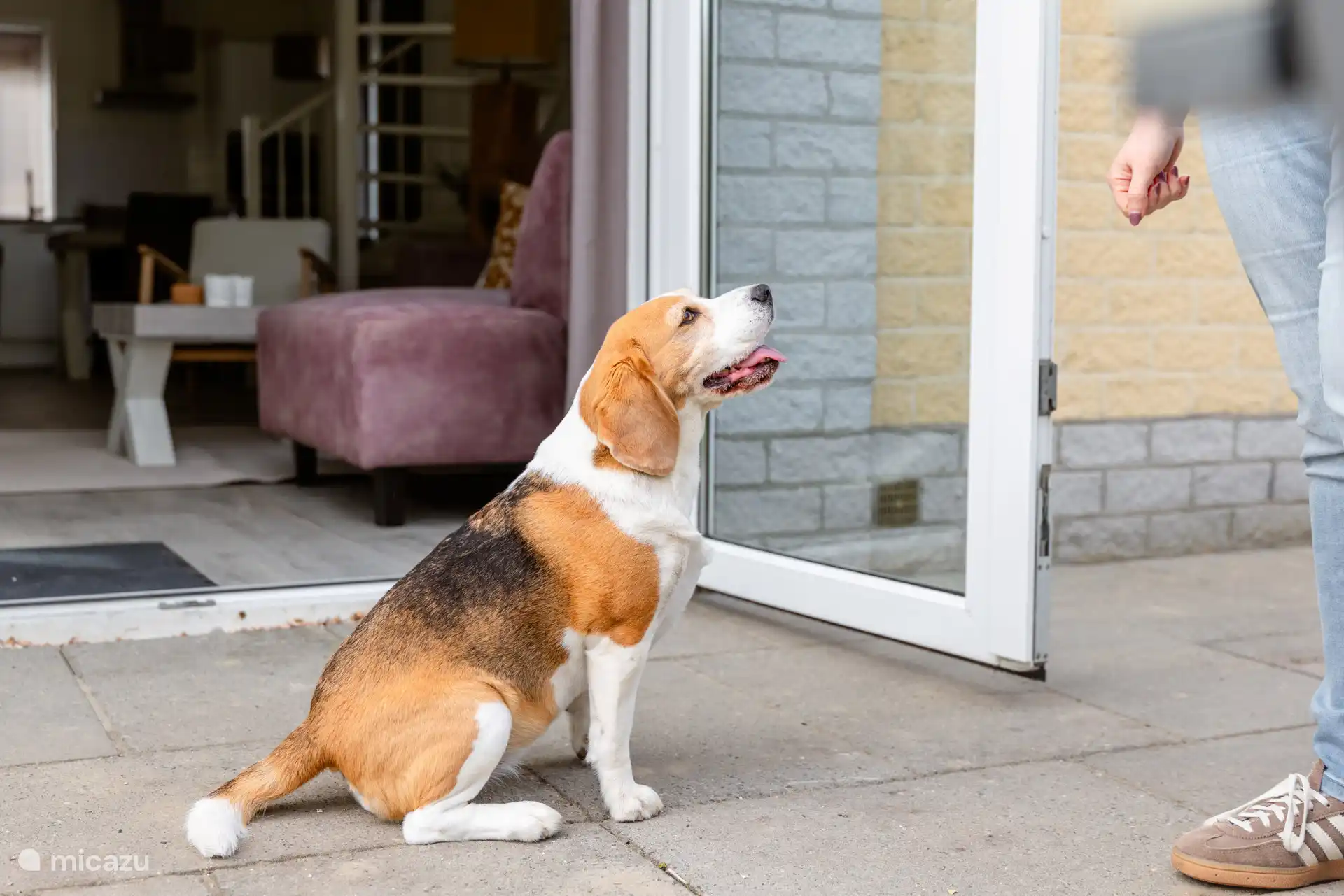 Dogs are welcome at no extra charge 