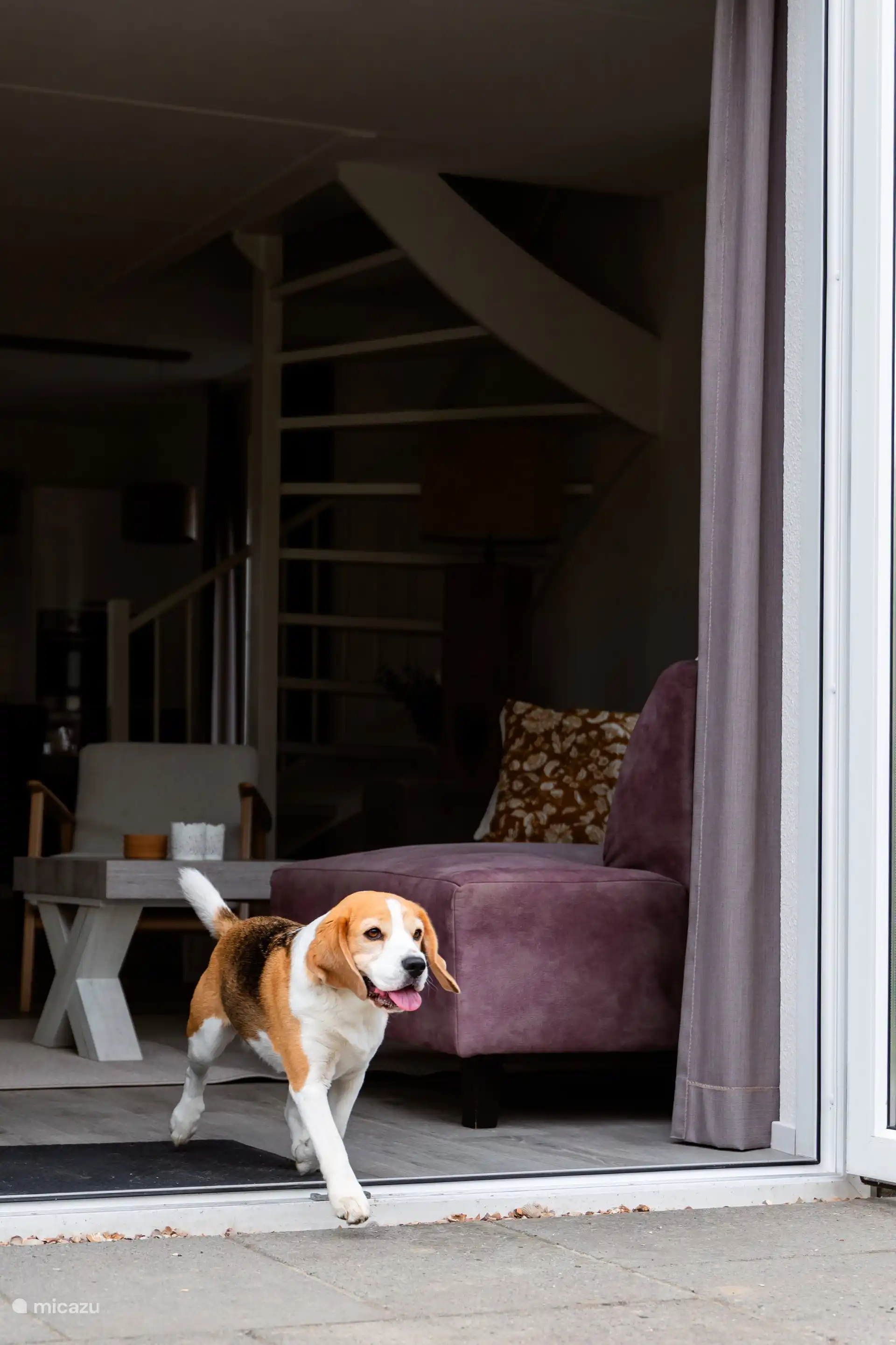 Dogs are welcome at no extra charge 