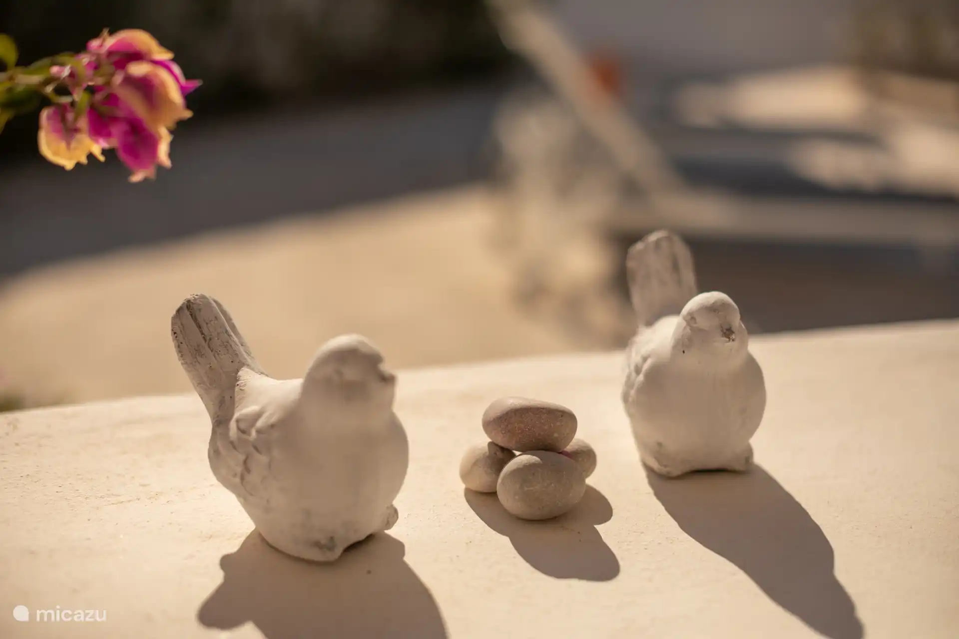 Profitez de l’été. 