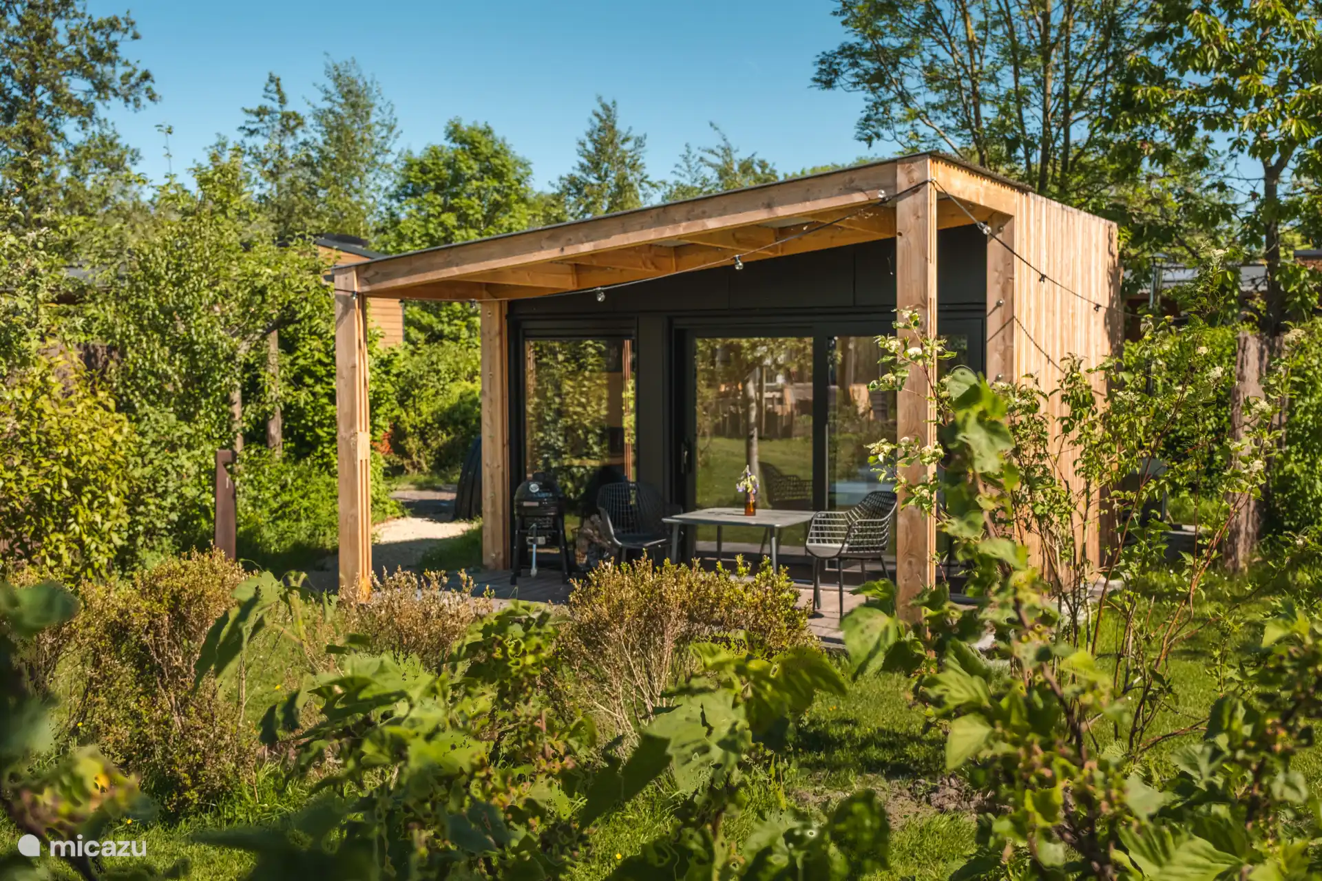  Wetland Cabin met hottub huren in Nederland, Friesland, Scherpenzeel - tiny house