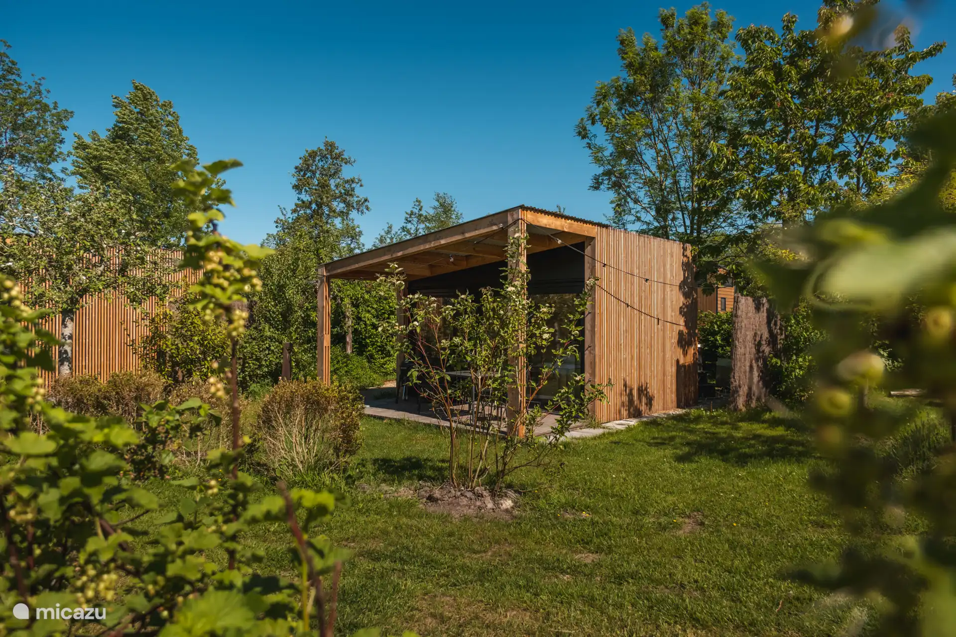Tuin en groen rondom