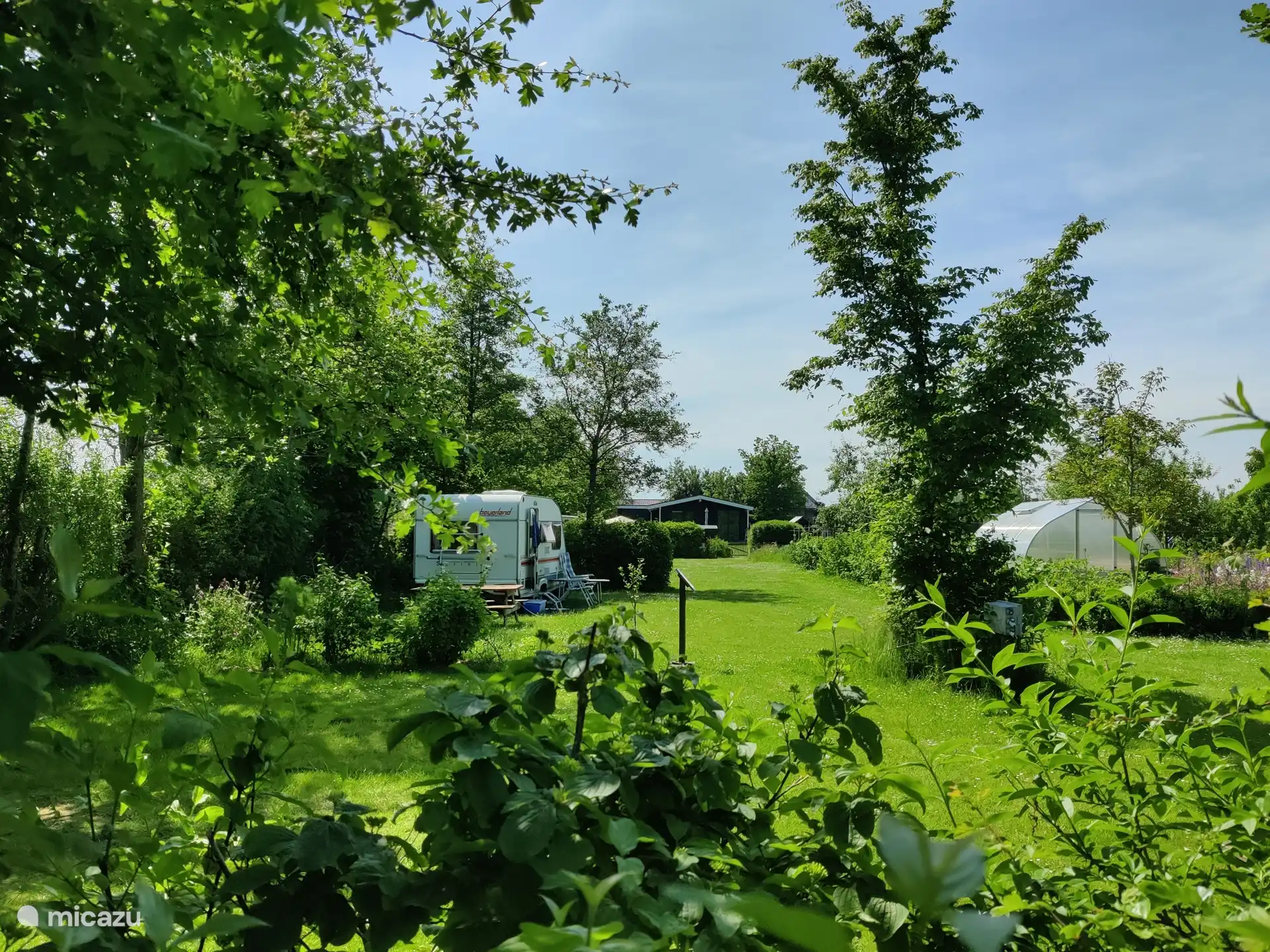 Groen op het park