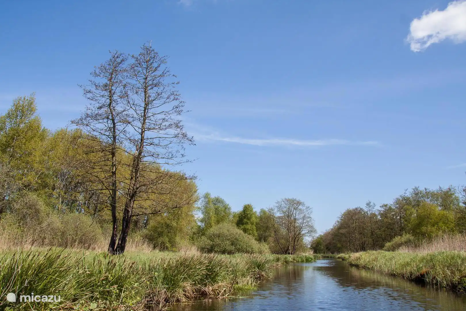 Natuur omgeving