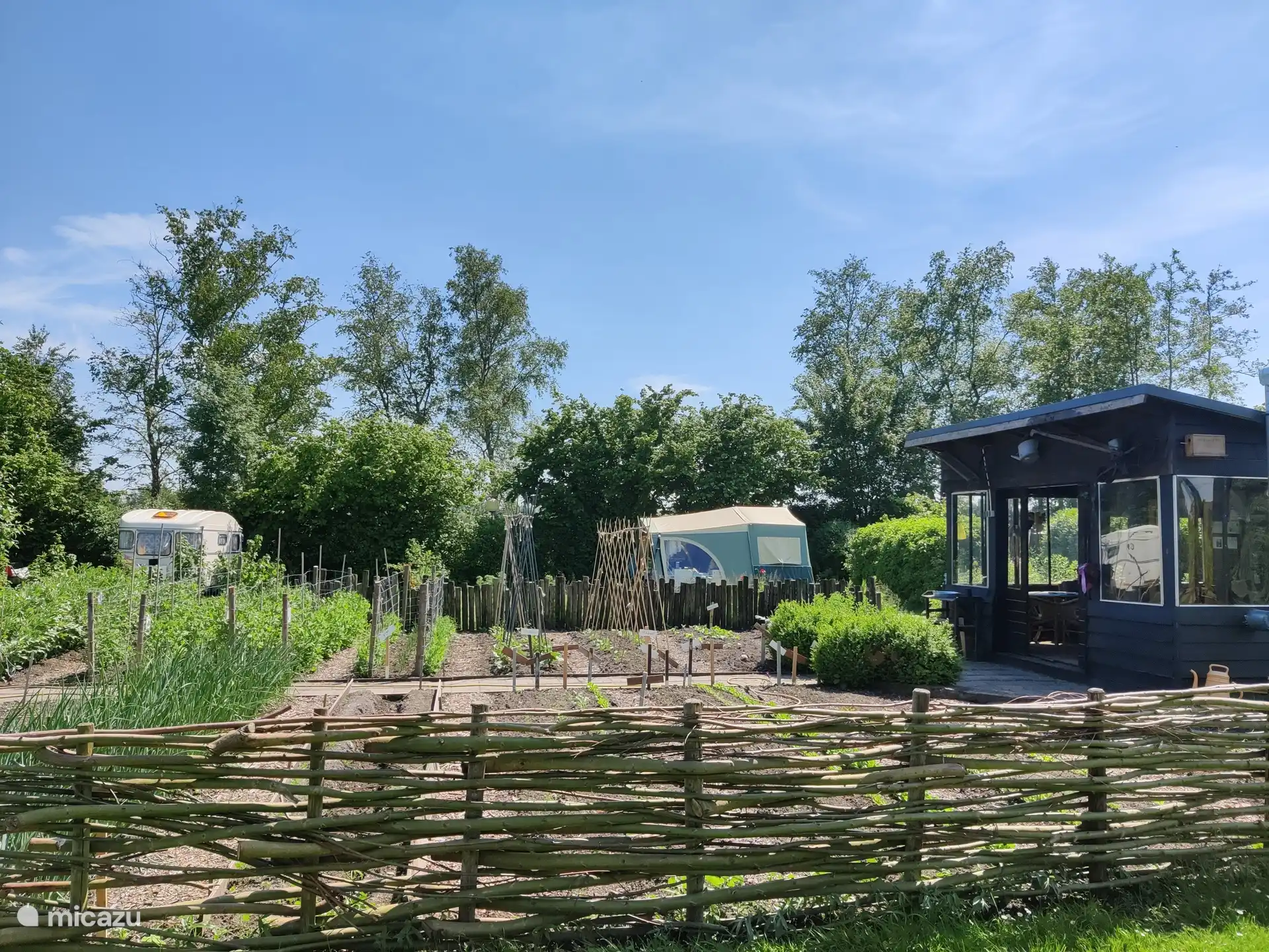 Moestuin