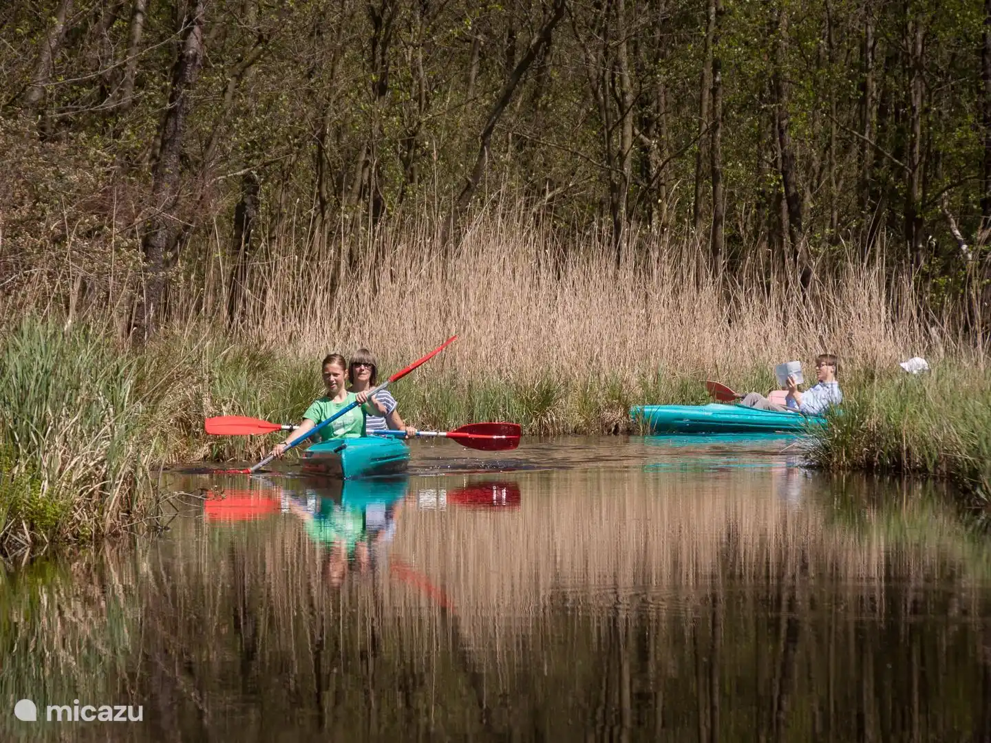 Omgeving met veel water