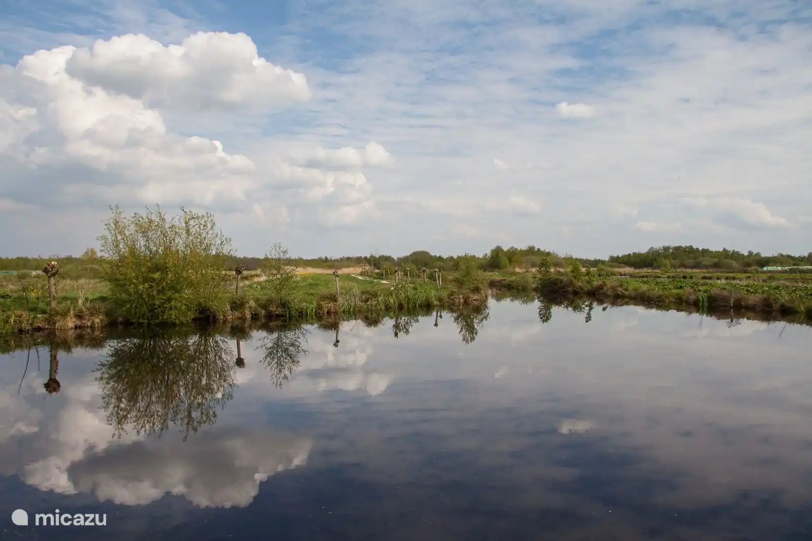 Omgeving van het park