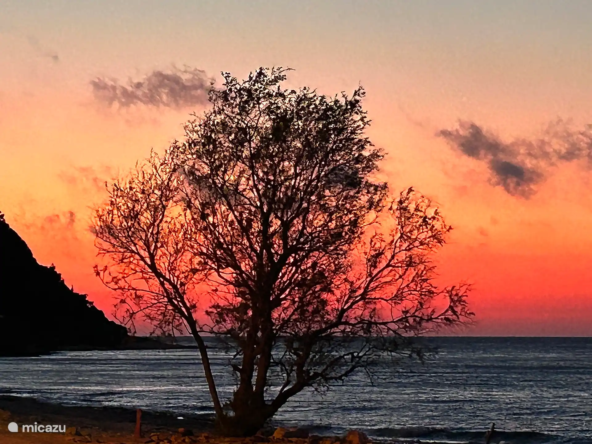 Beach at sunset