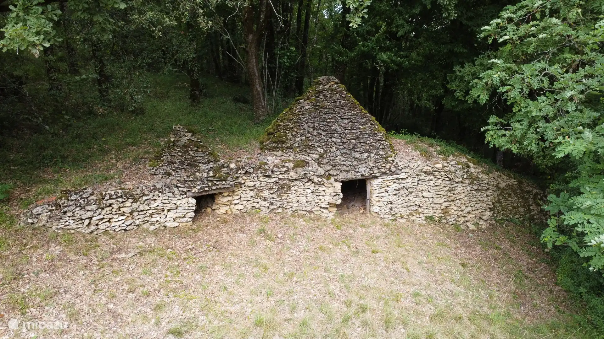 De Borie aan de bosrand