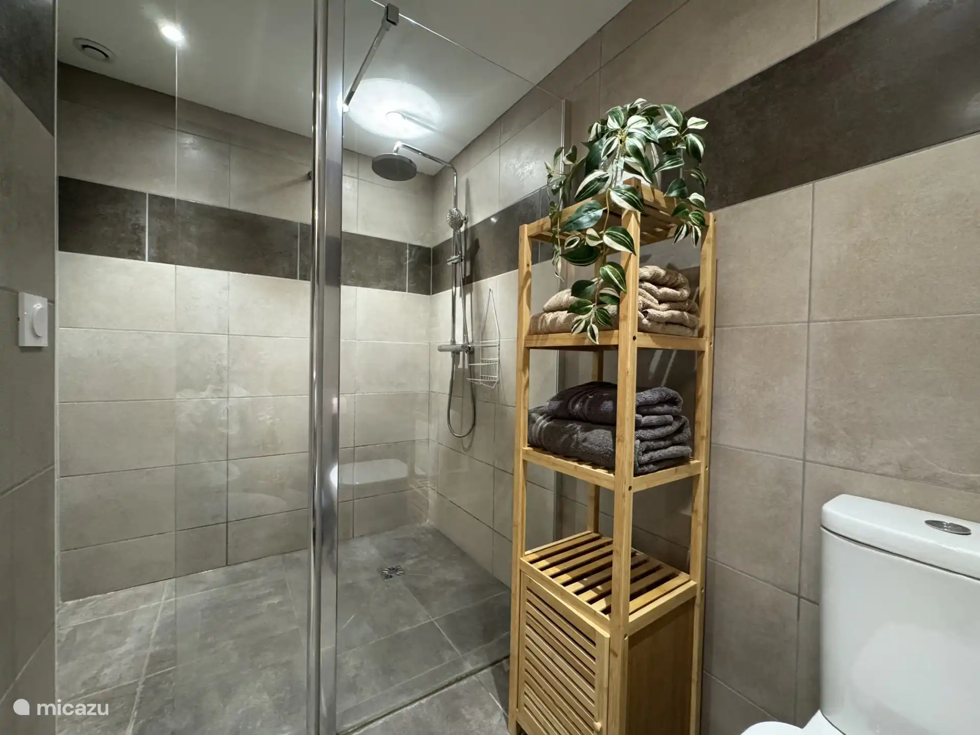 Bathroom ground floor with shower, sink, toilet and plenty of space.