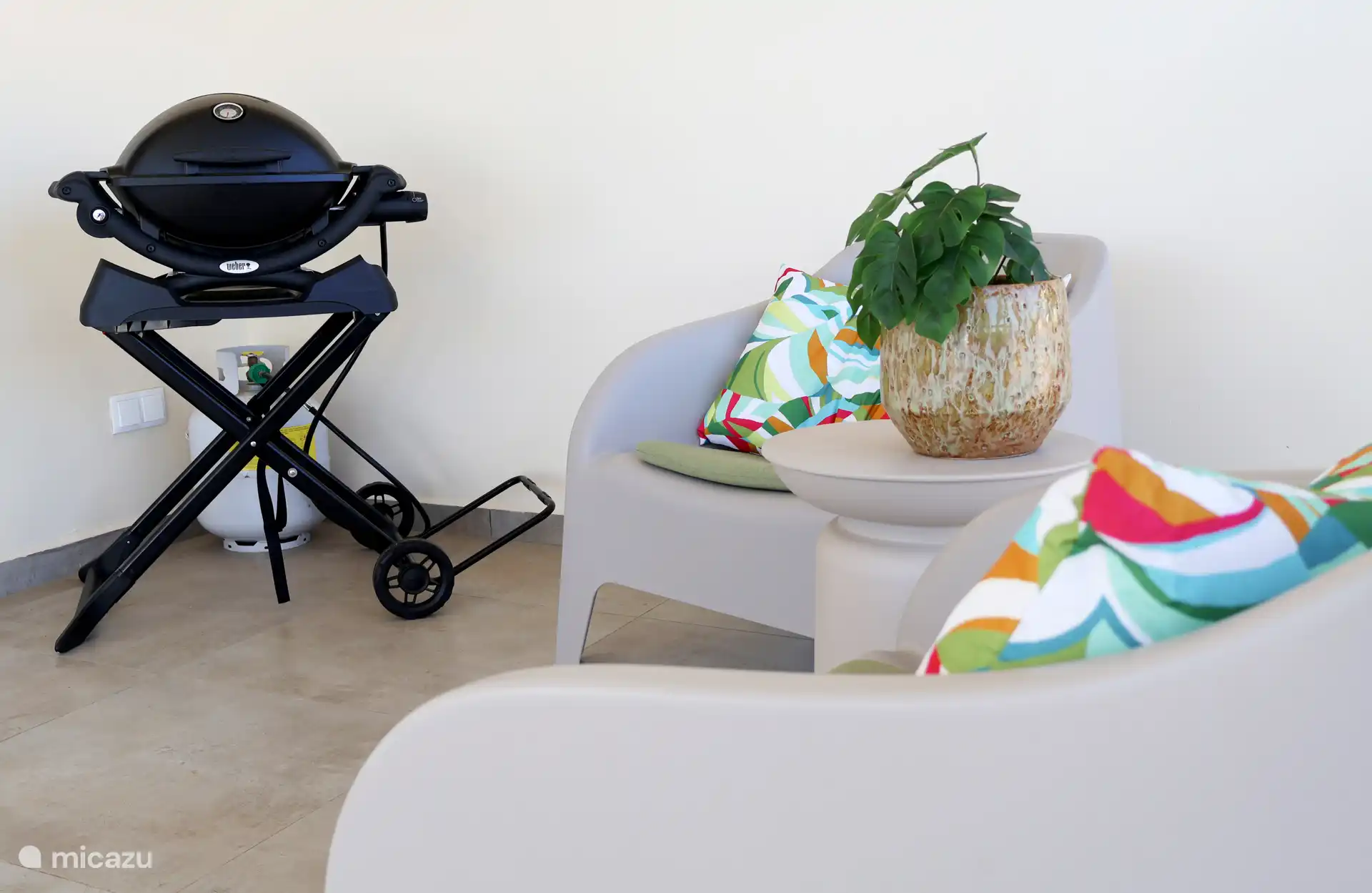 The Weber gas barbecue
