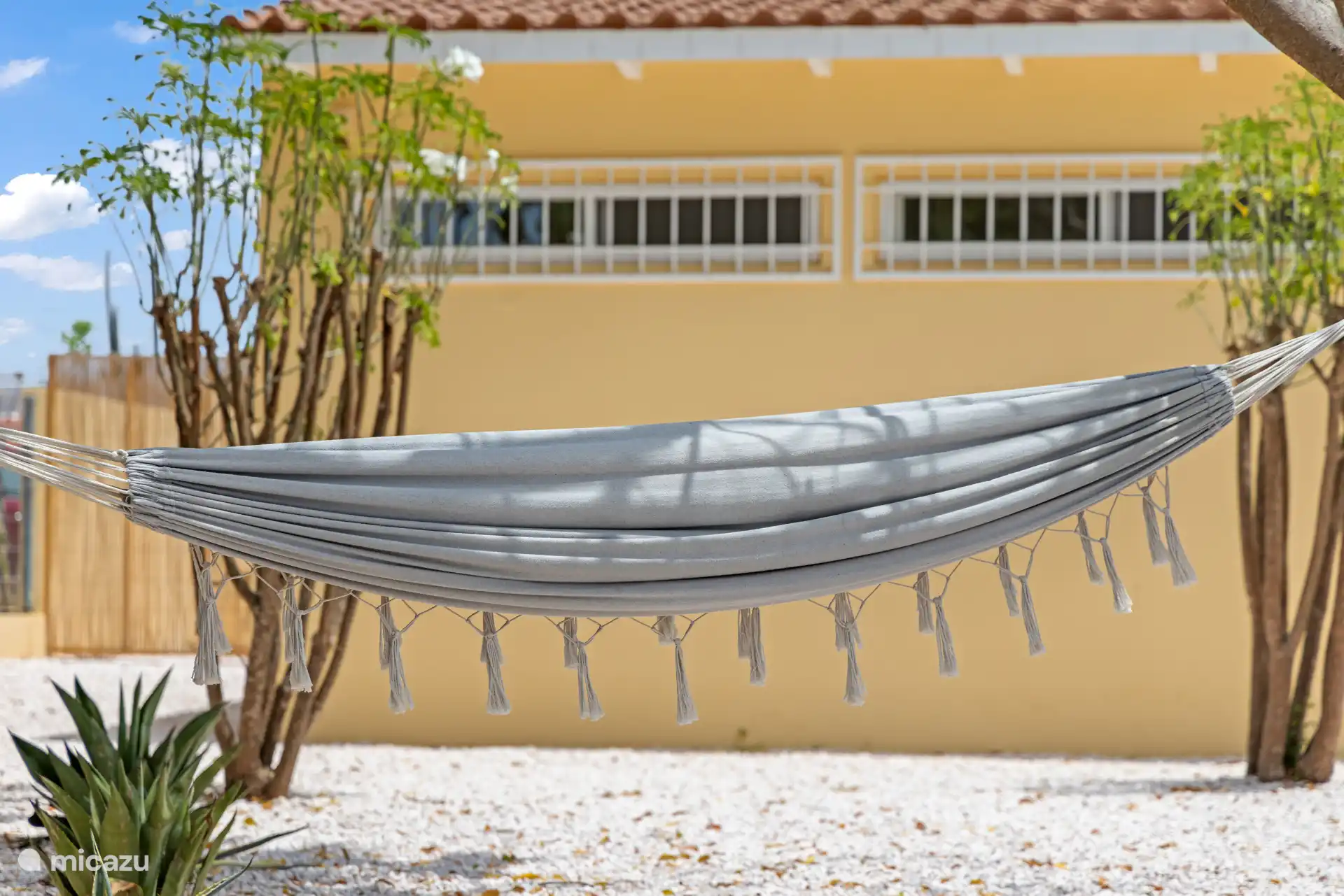El lugar perfecto para relajarse a la sombra con una brisa suave