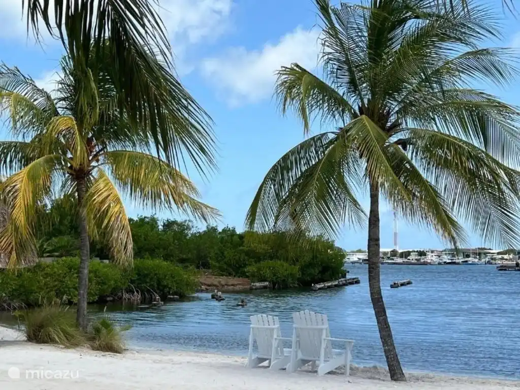Tropische Ausblicke vom Resort zum Wasser, umgeben von Palmen und Grün.