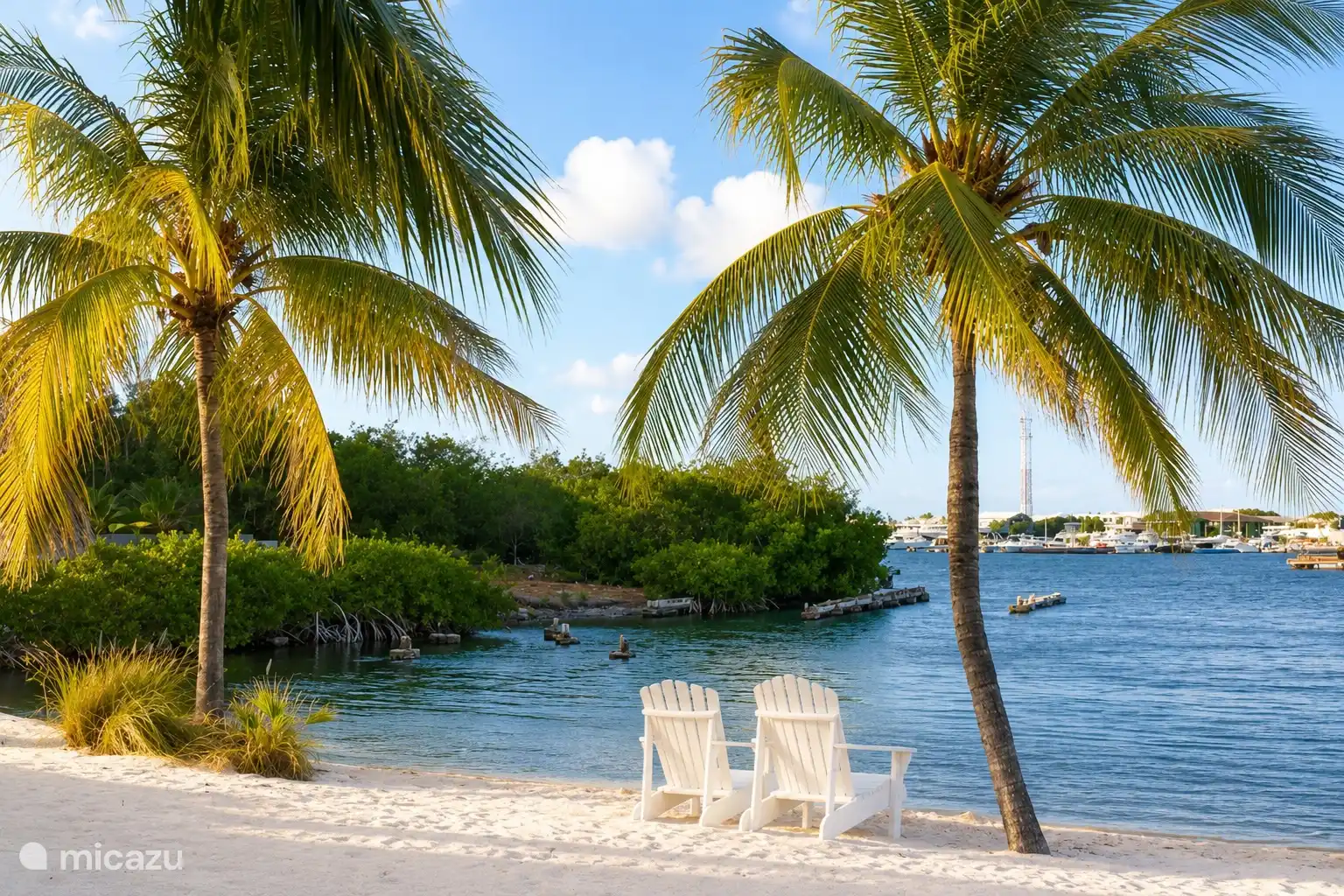 Tropical views from the resort towards the water, surrounded by palms and greenery.