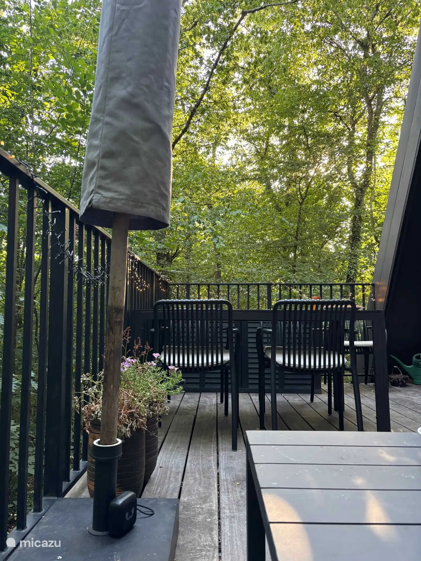 Terras