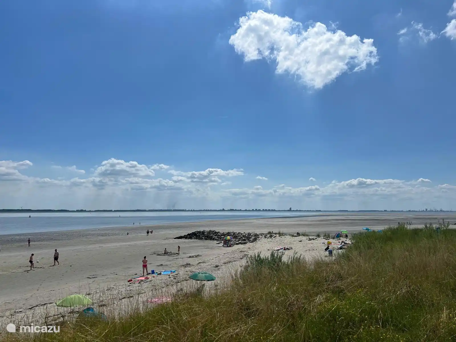 Surroundings sea and beach