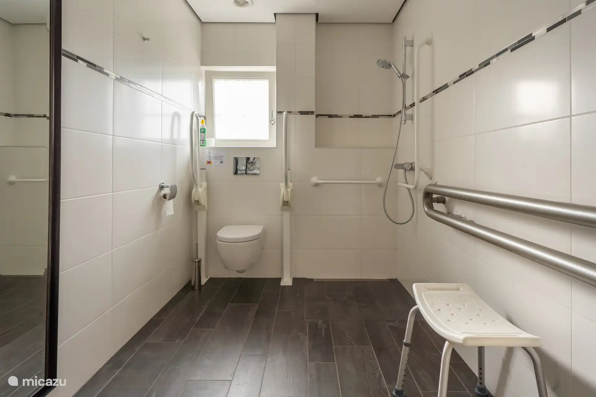 Bathroom, wheelchair