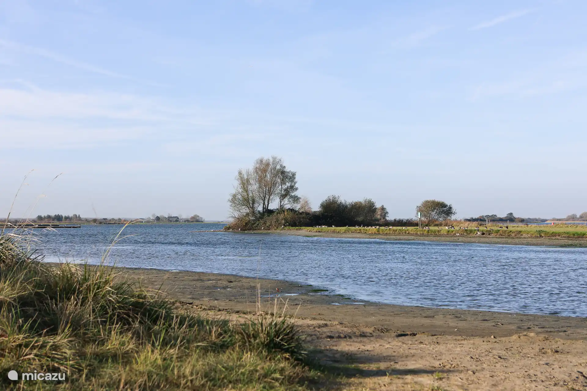 Surroundings