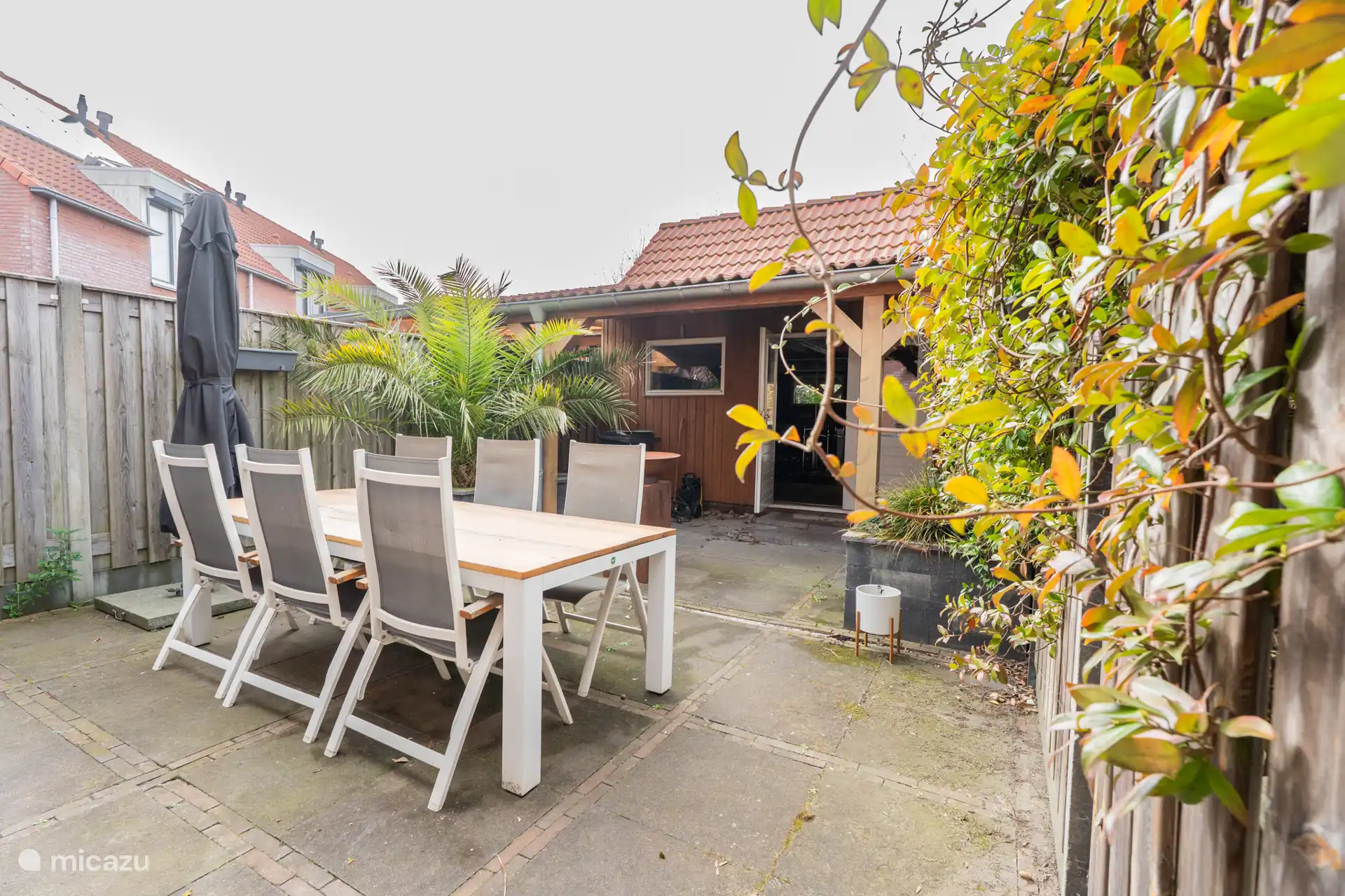 Tuin