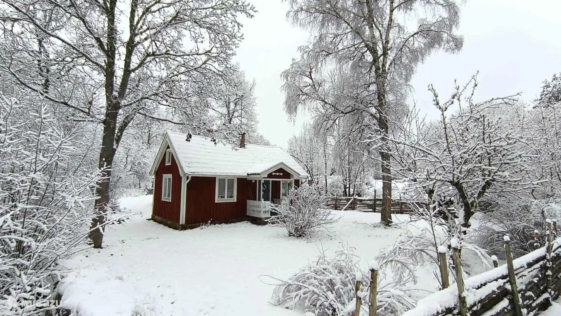 Winter 2025