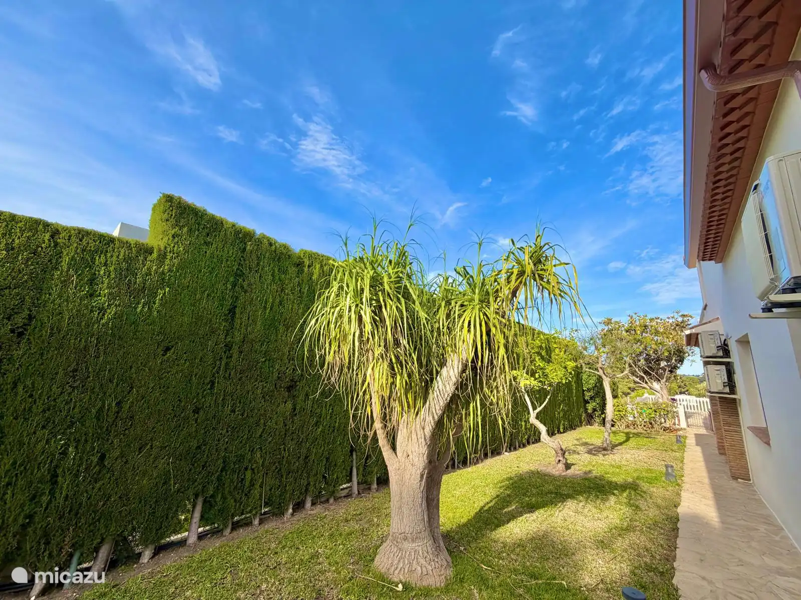 Side garden