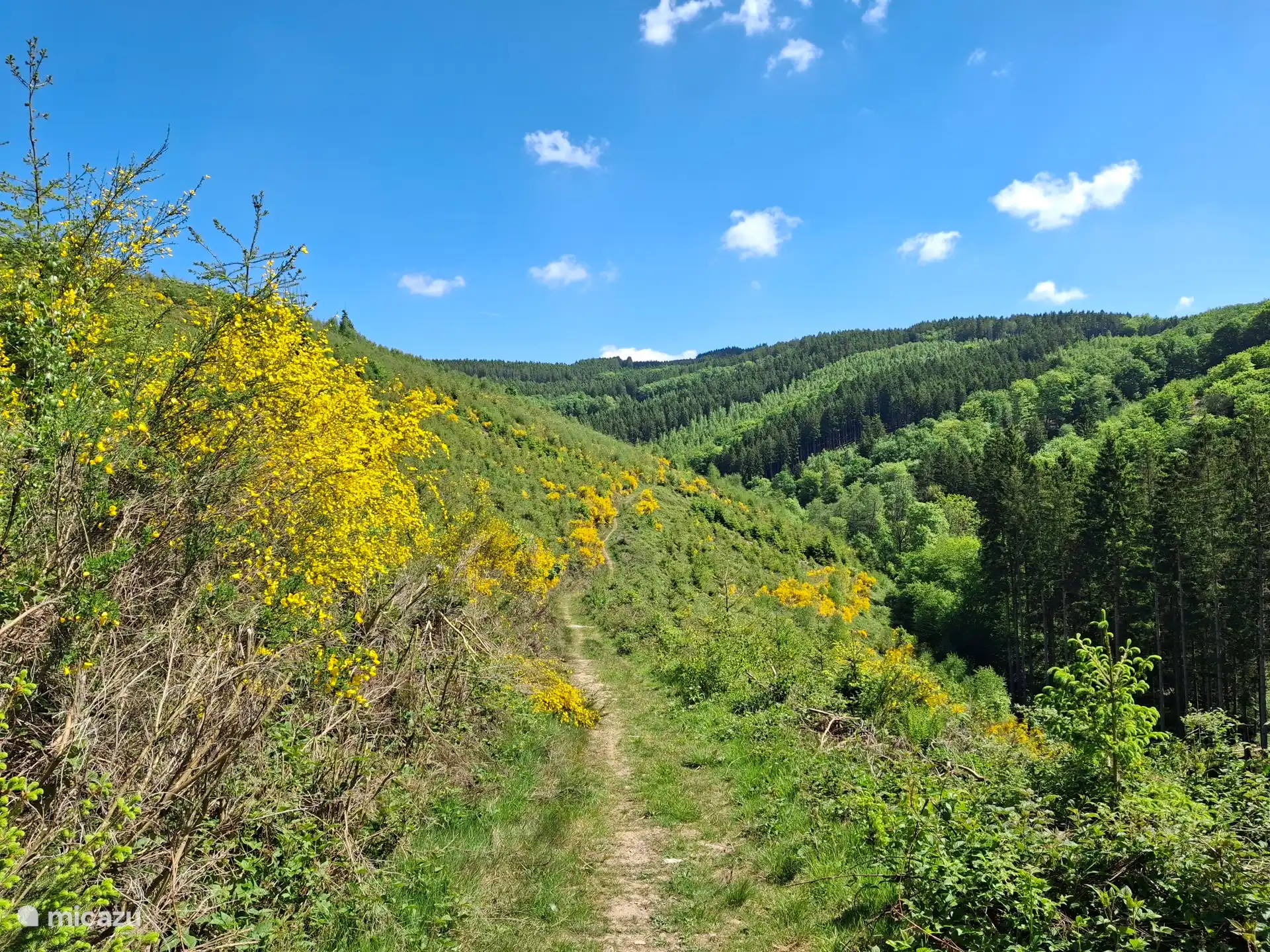 Wunderbare Wanderungen sowie MTB-Routen starten vom Ferienhaus aus.