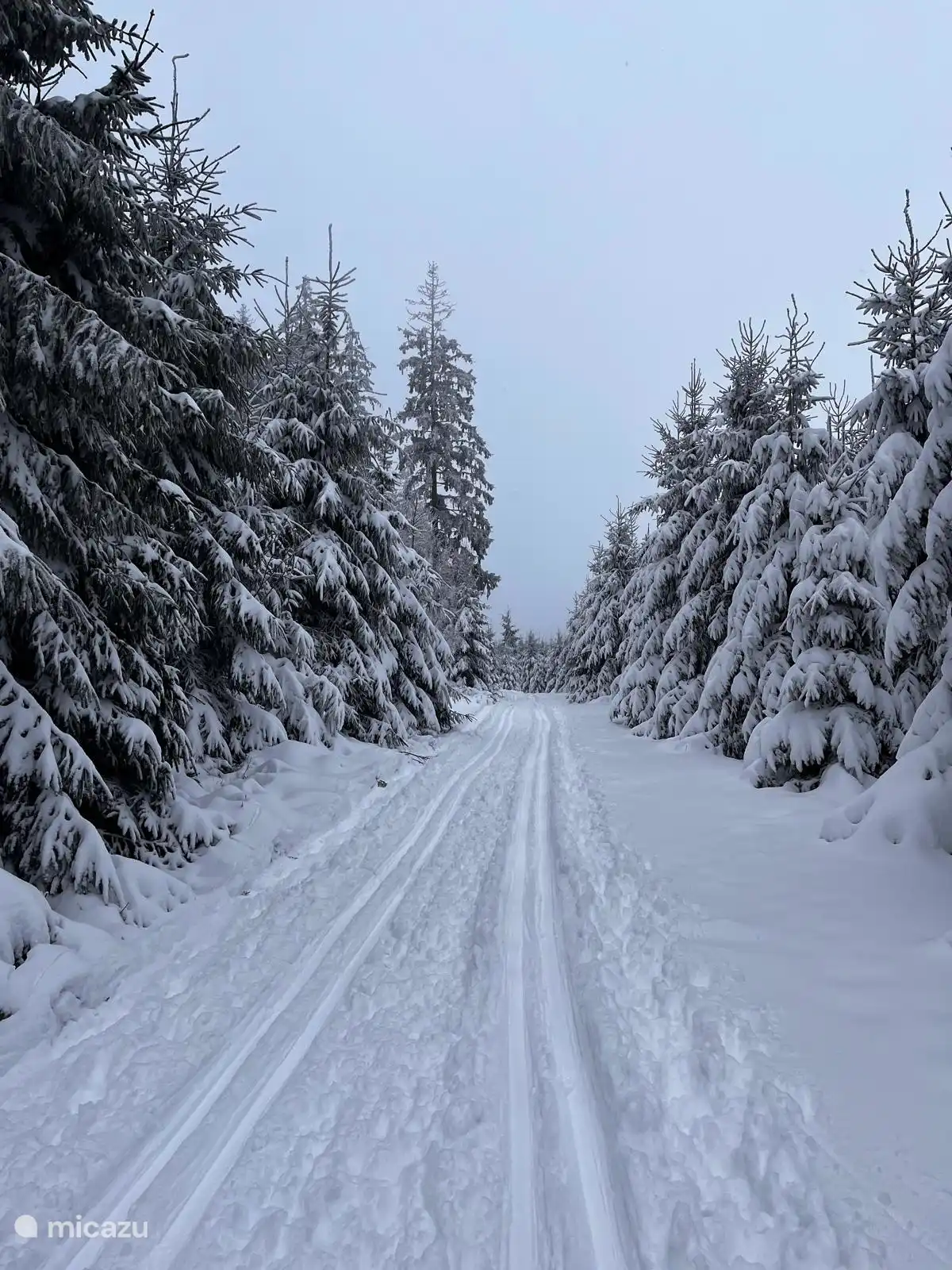 Winter in Borzée. Glücklich mit dieser Schneeschicht.