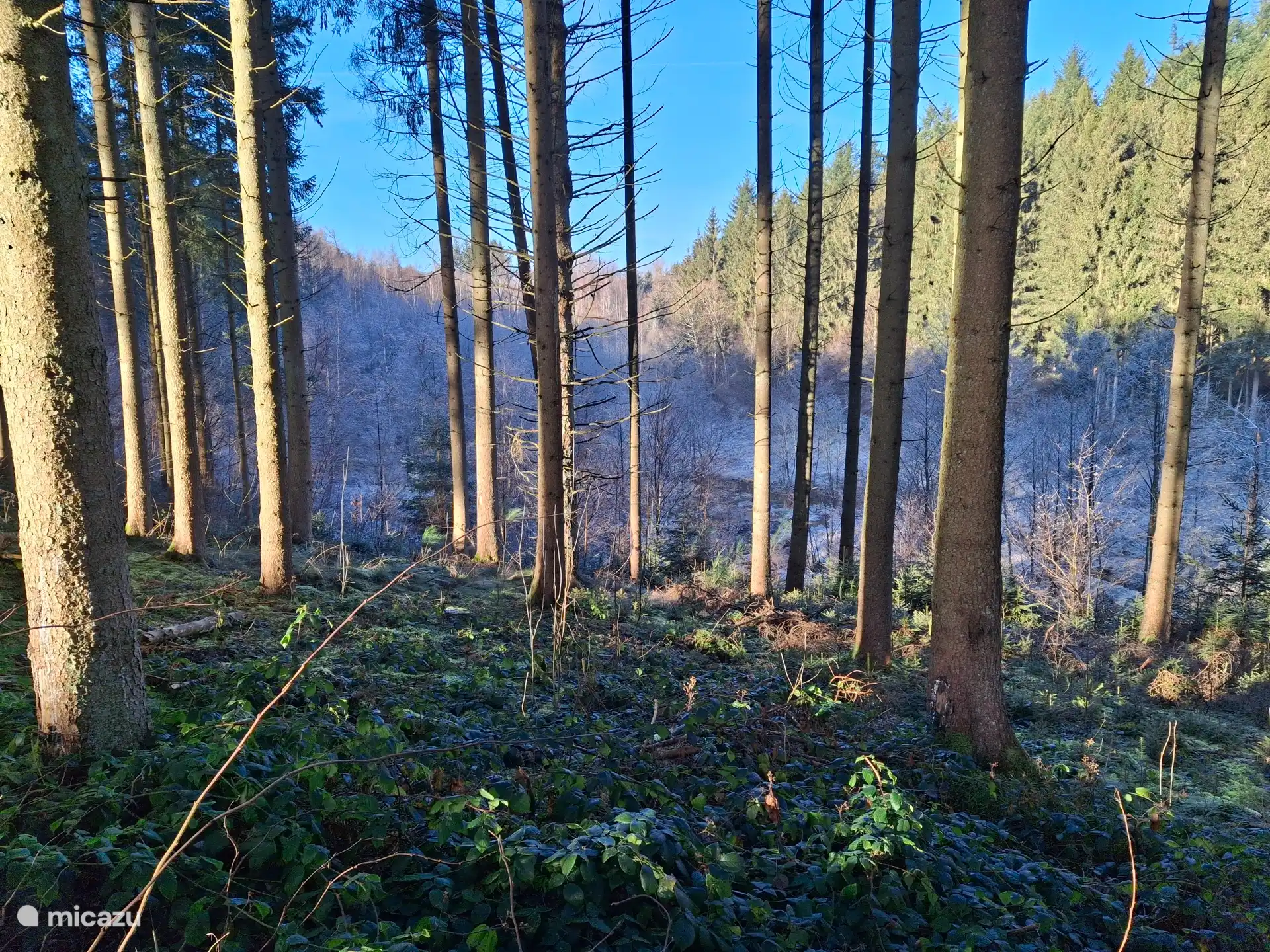 Spaßige morgendliche Wanderung mit tiefhängendem Nebel über dem Tal
