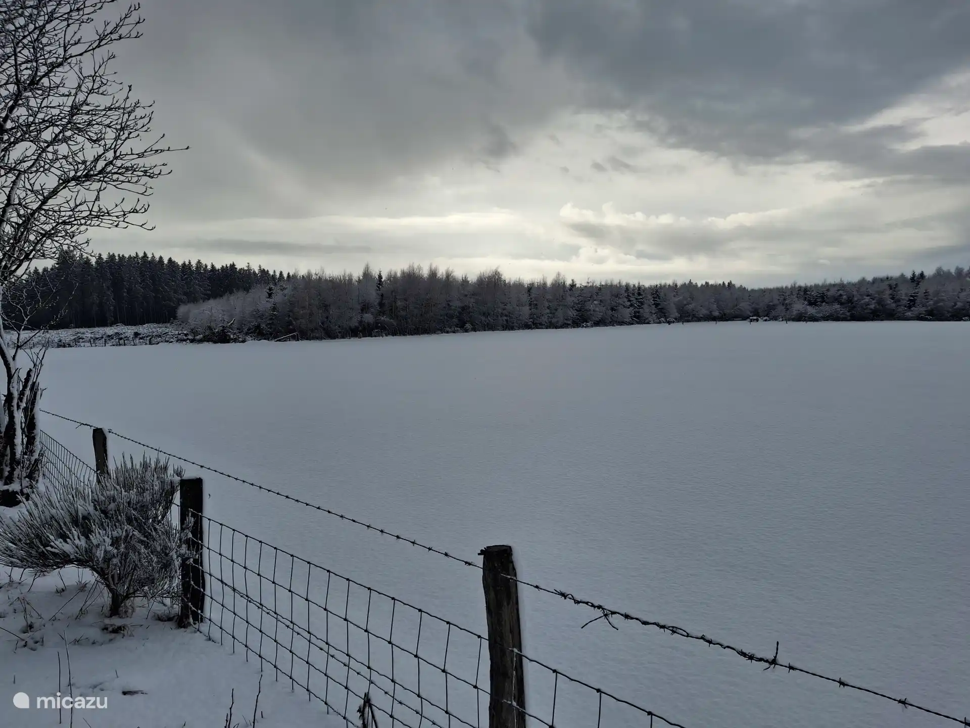 Reines Vergnügen im Winter.