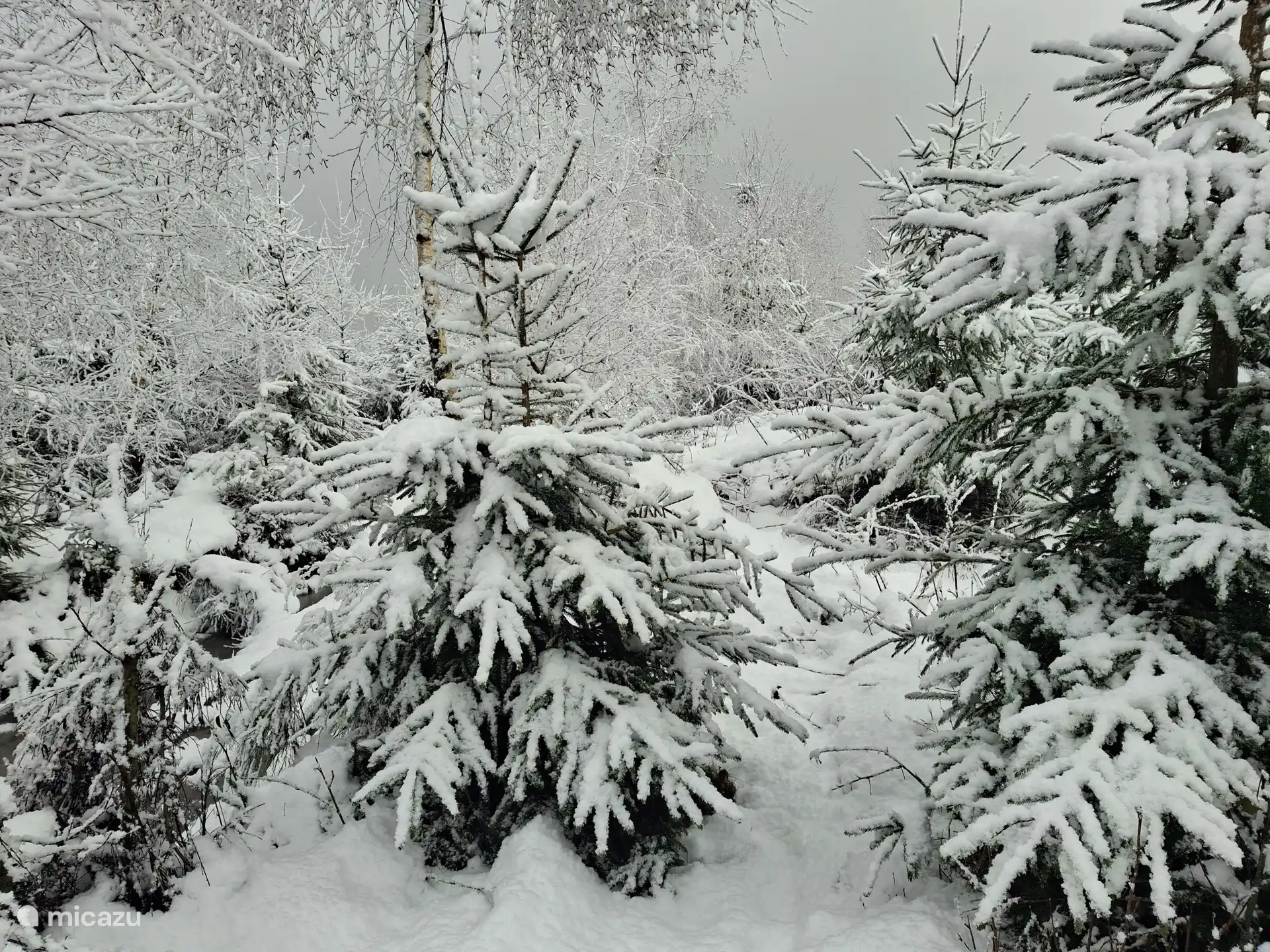 Schöner Spaziergang, der knirschende Schnee unter deinen Schuhen.