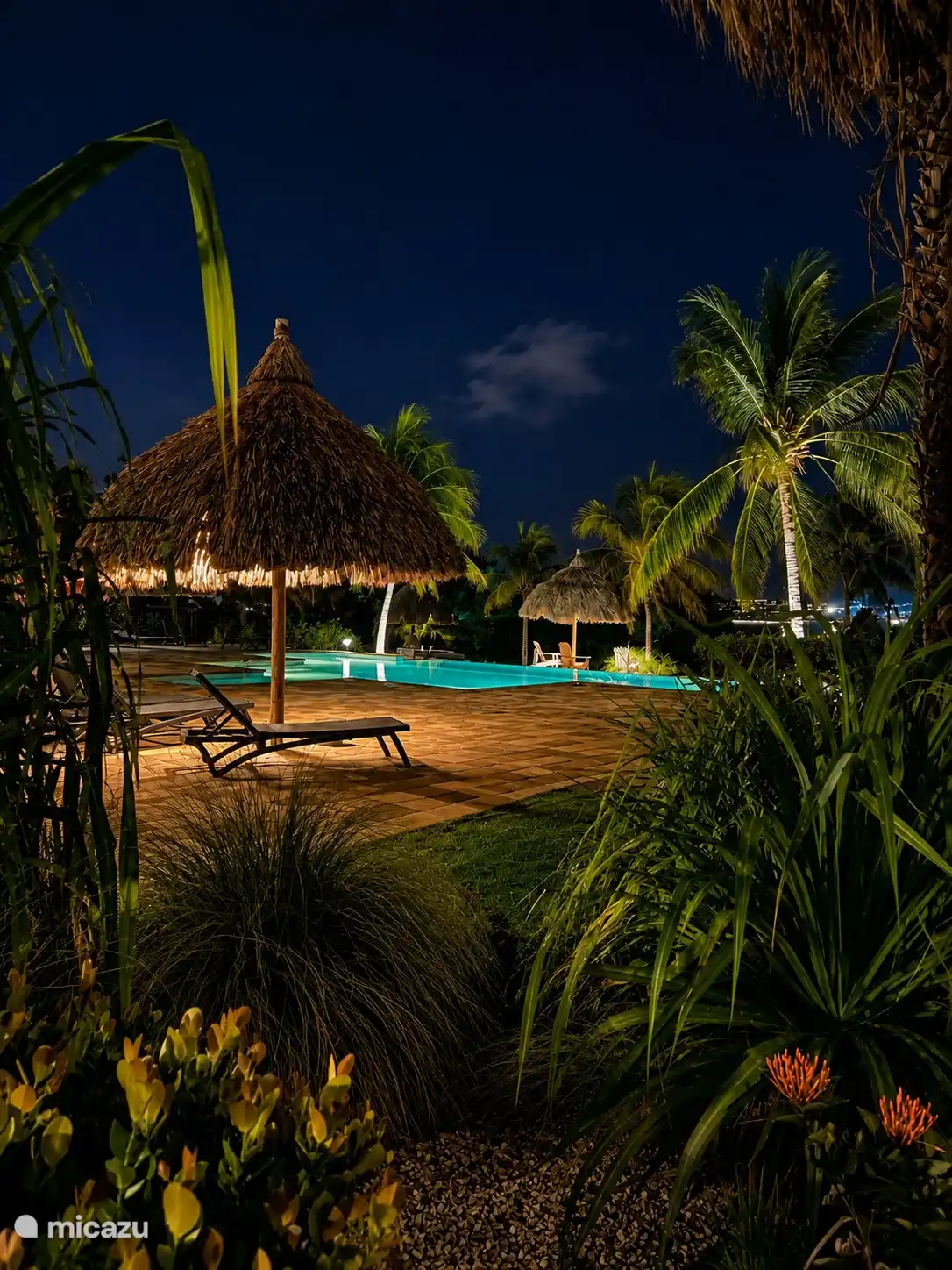 Magnifique jardin au bord de la piscine.
