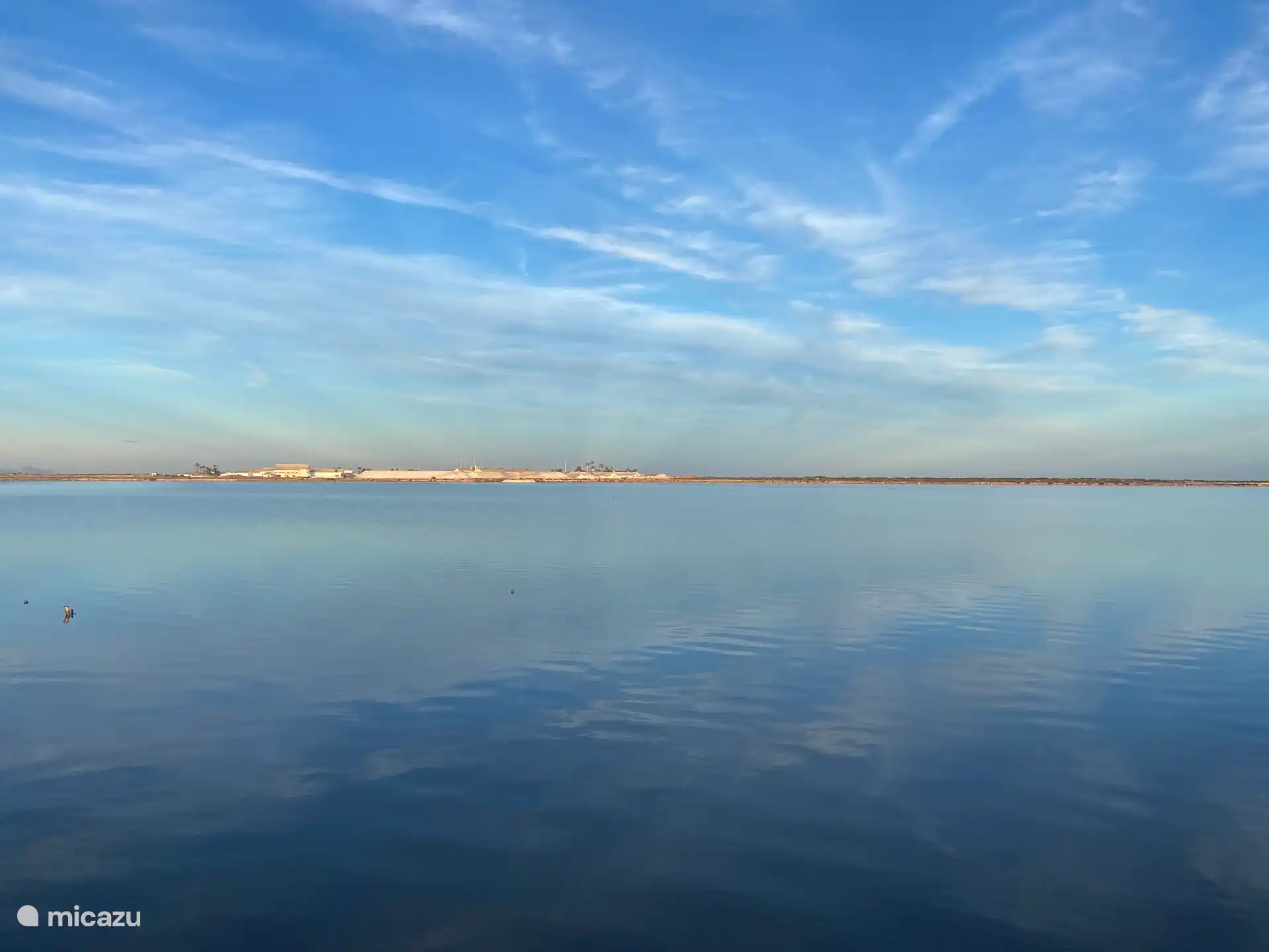 Salinas