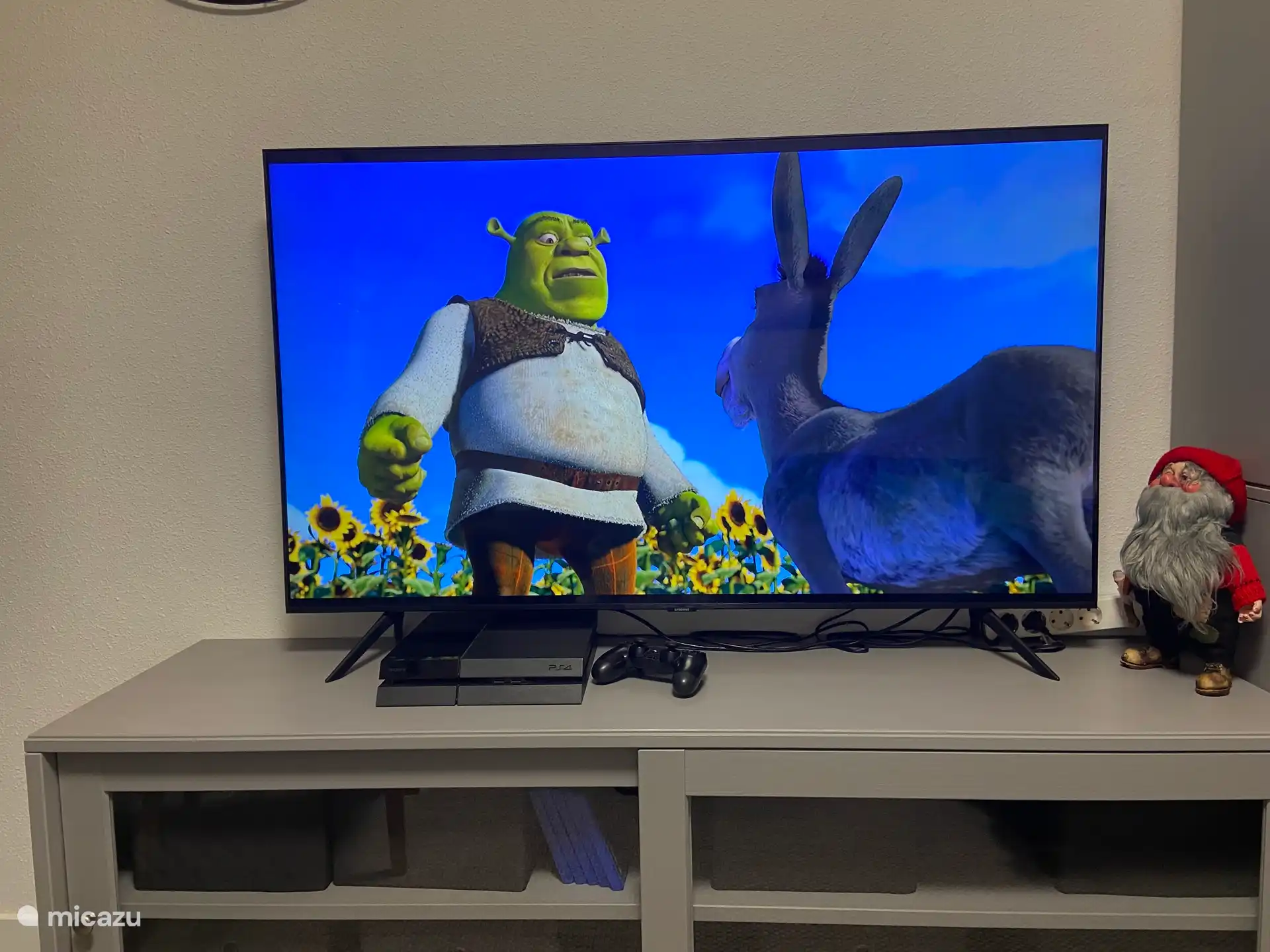 Smart-TV