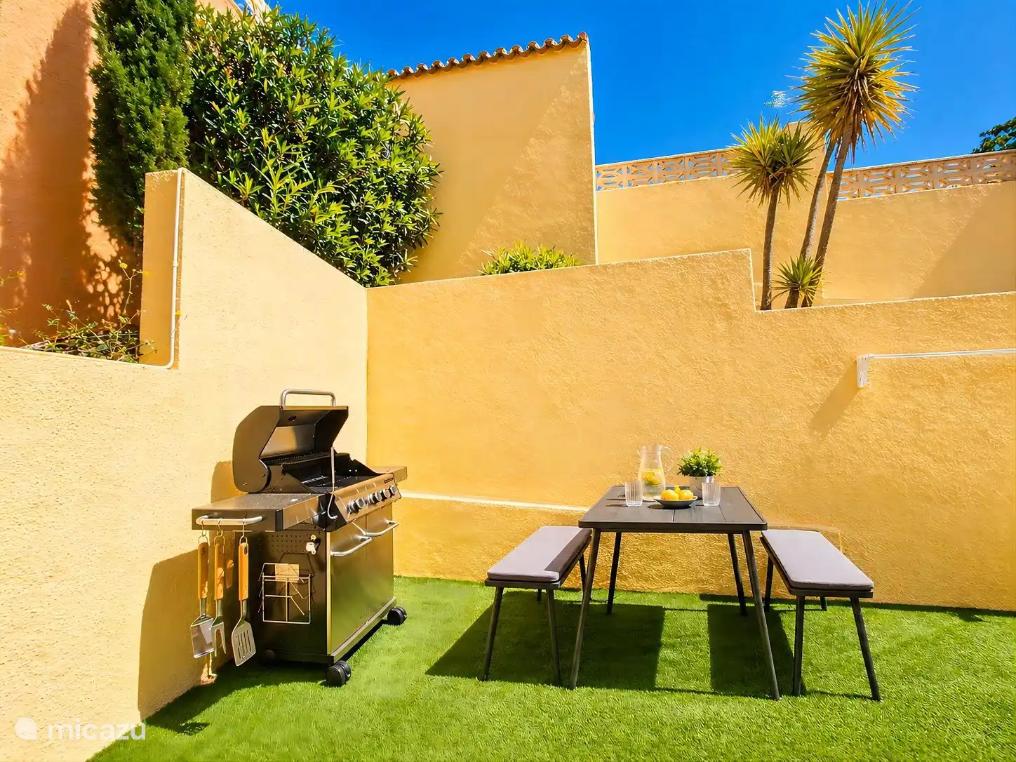 Gas BBQ with picnic table