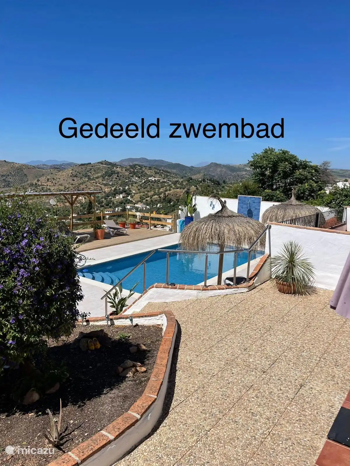 Shared swimming pool