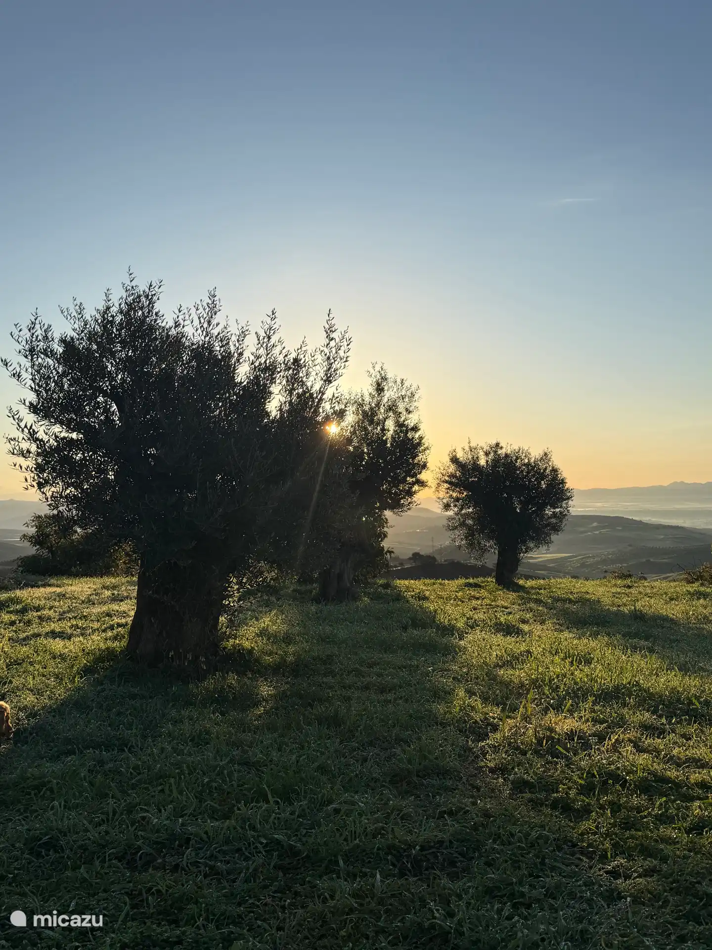 Rust & natuur in de Sierra de las Nieves