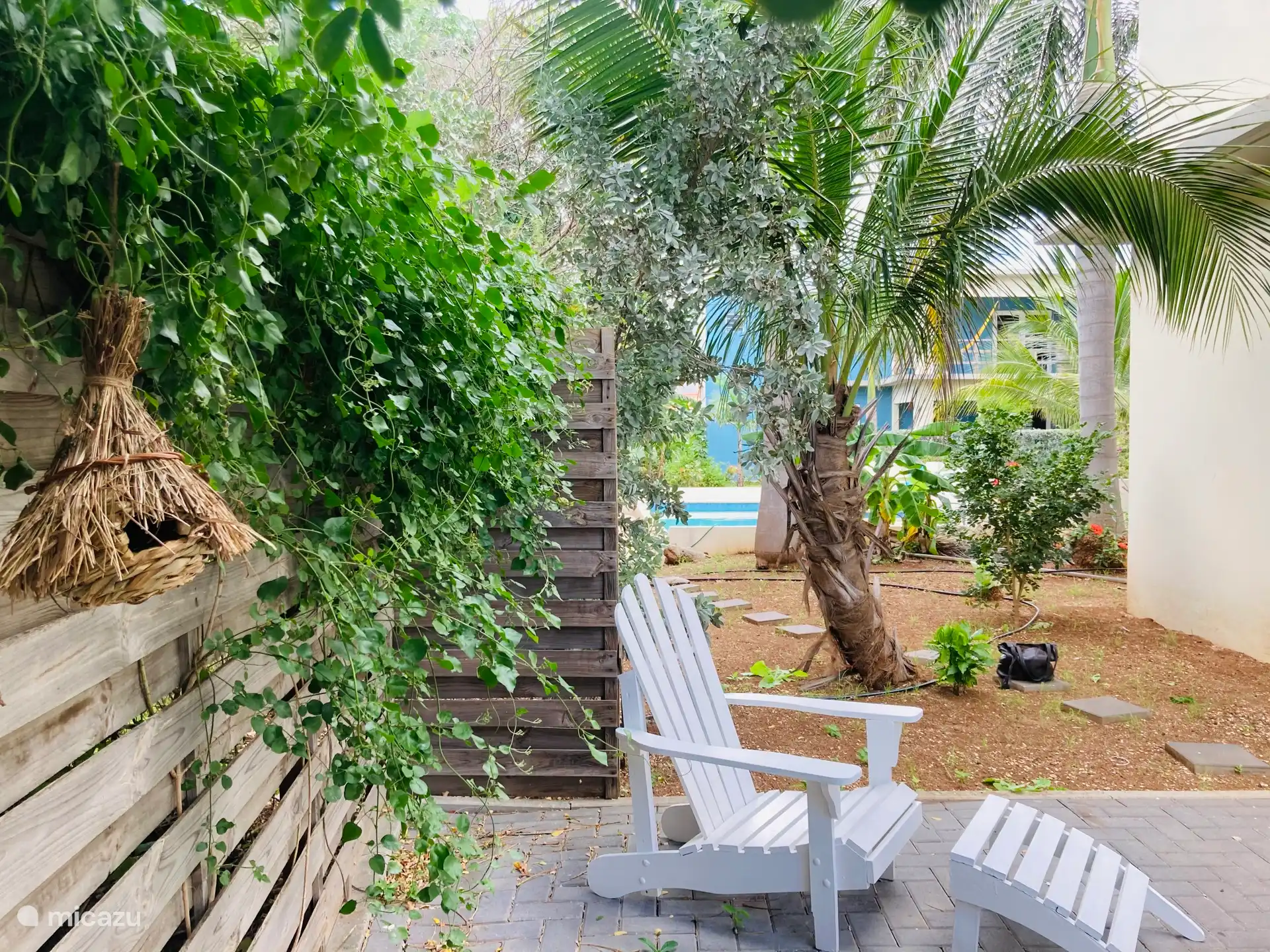 Tropical garden