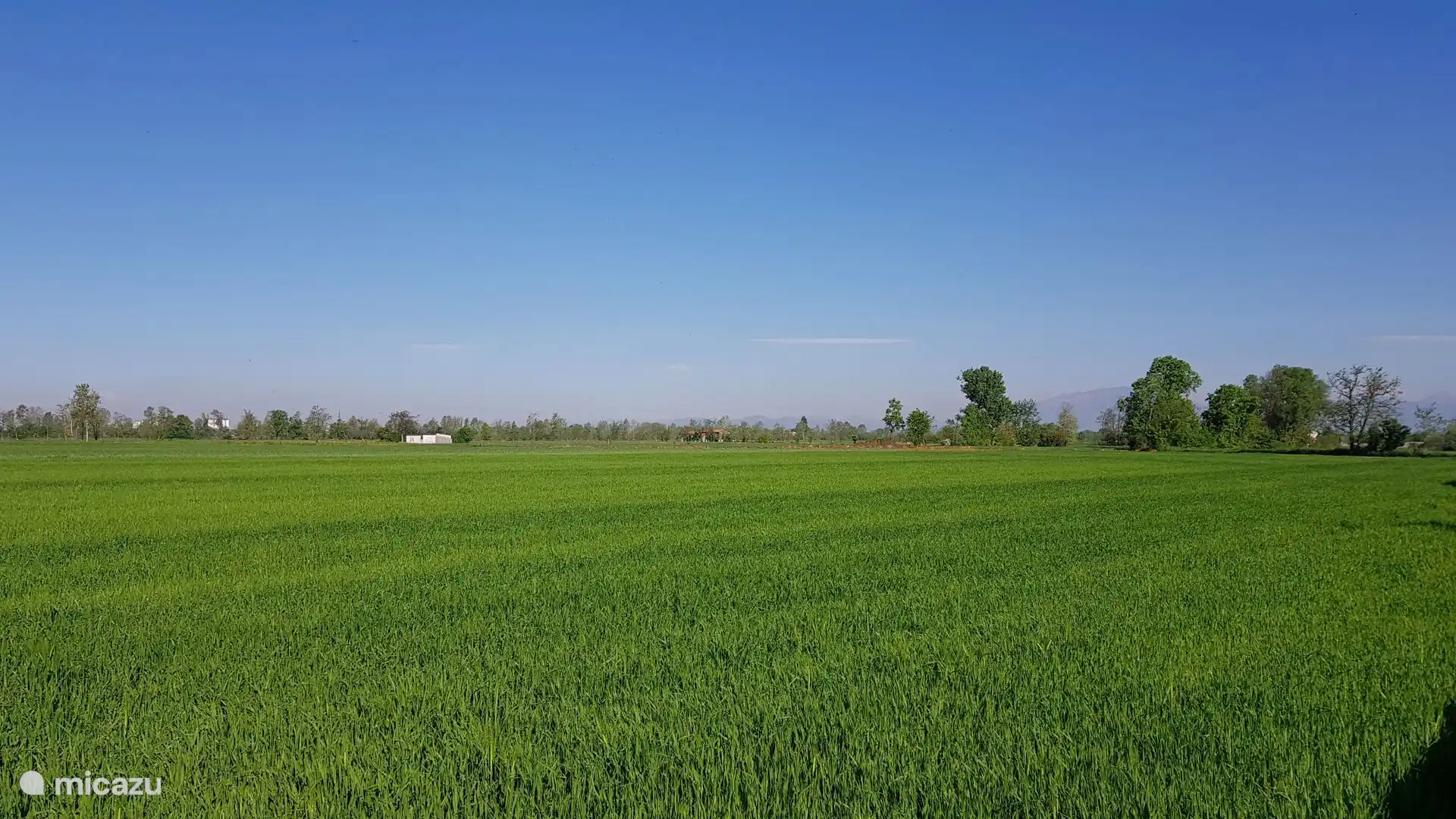 Platteland