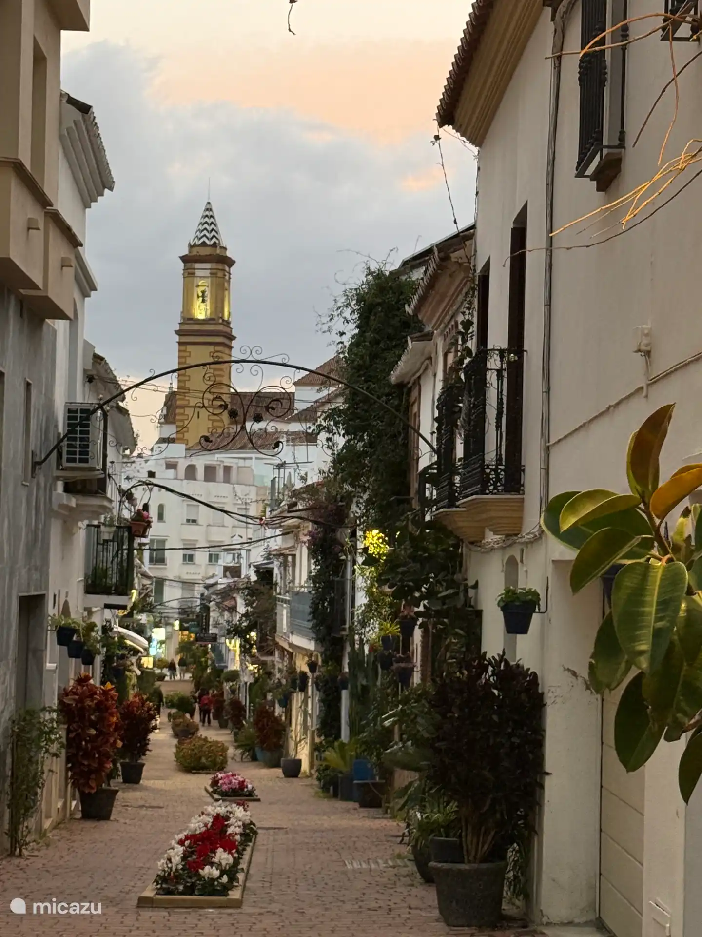 Die schöne Estepona