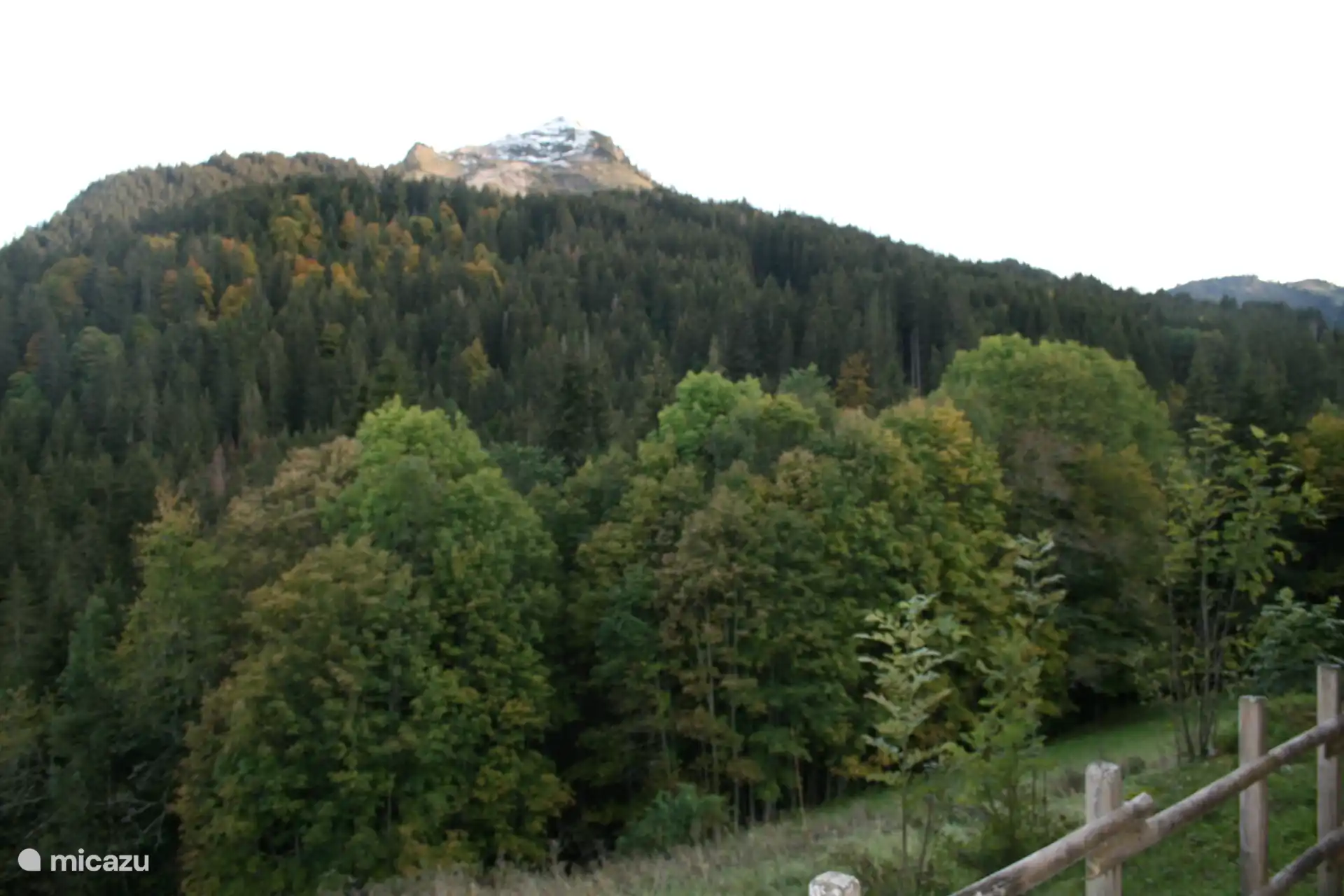 Vista