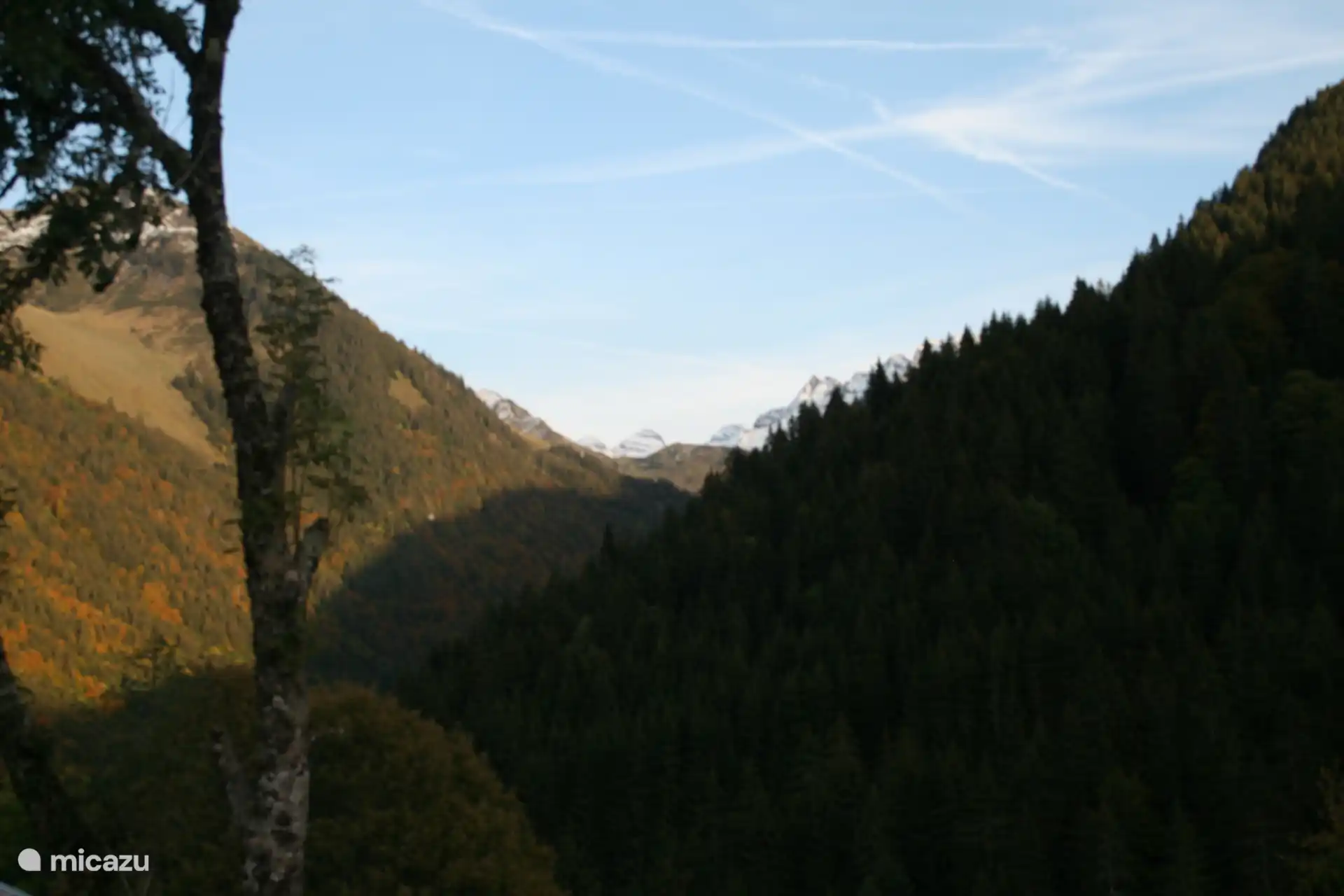 Vista