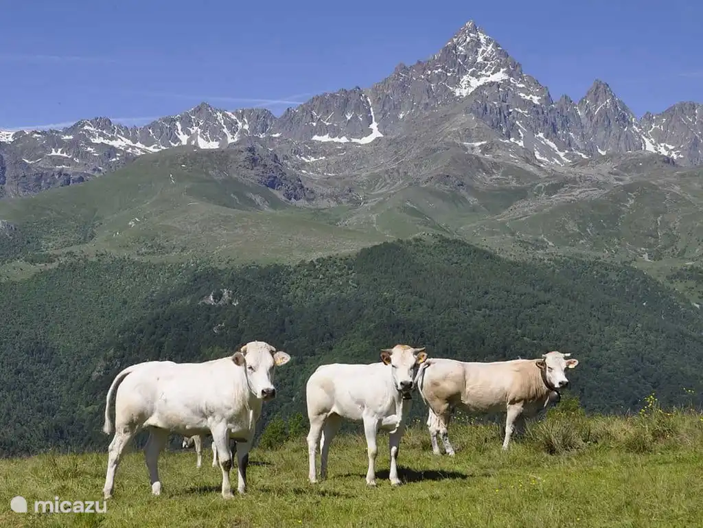 De mooie Monviso berg in de achtertuin