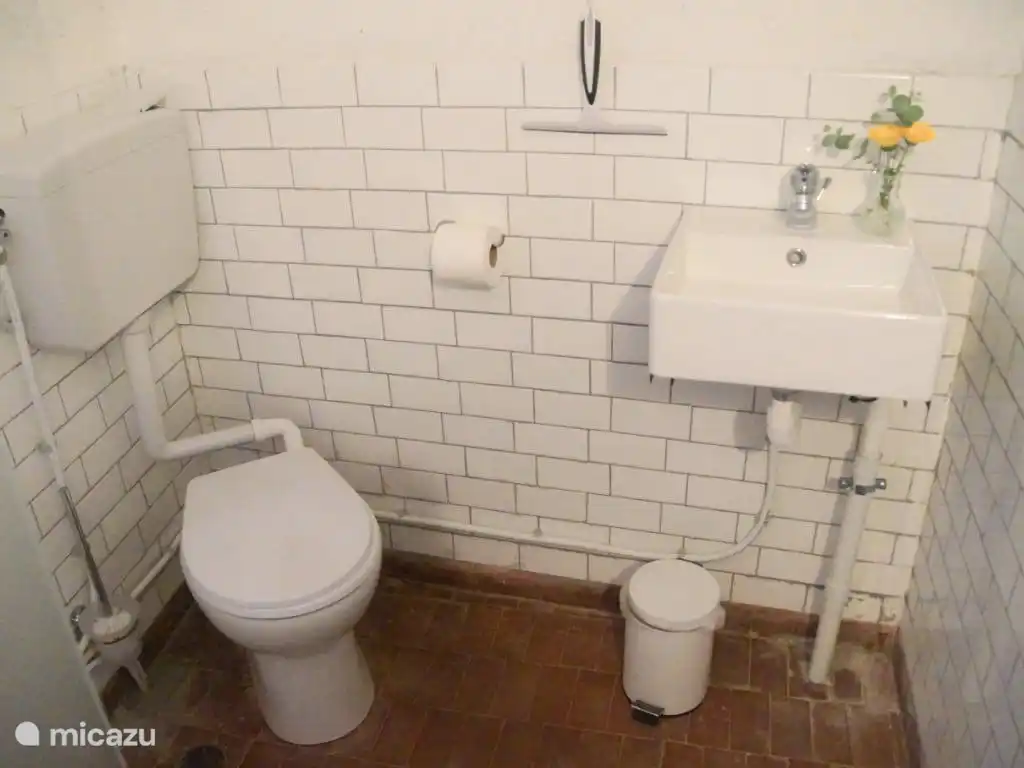 Badkamer, toilet en inloopdouche