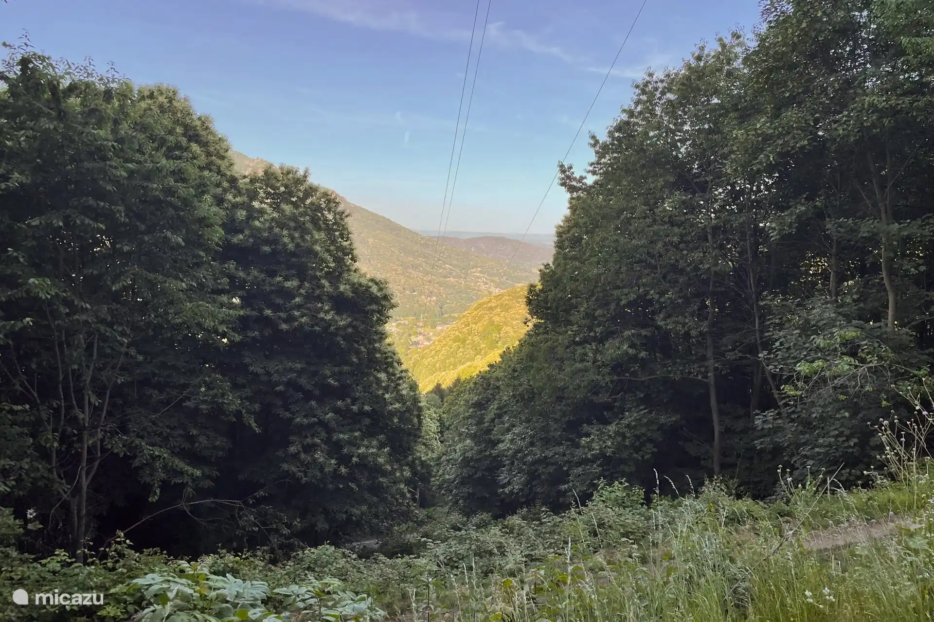 View