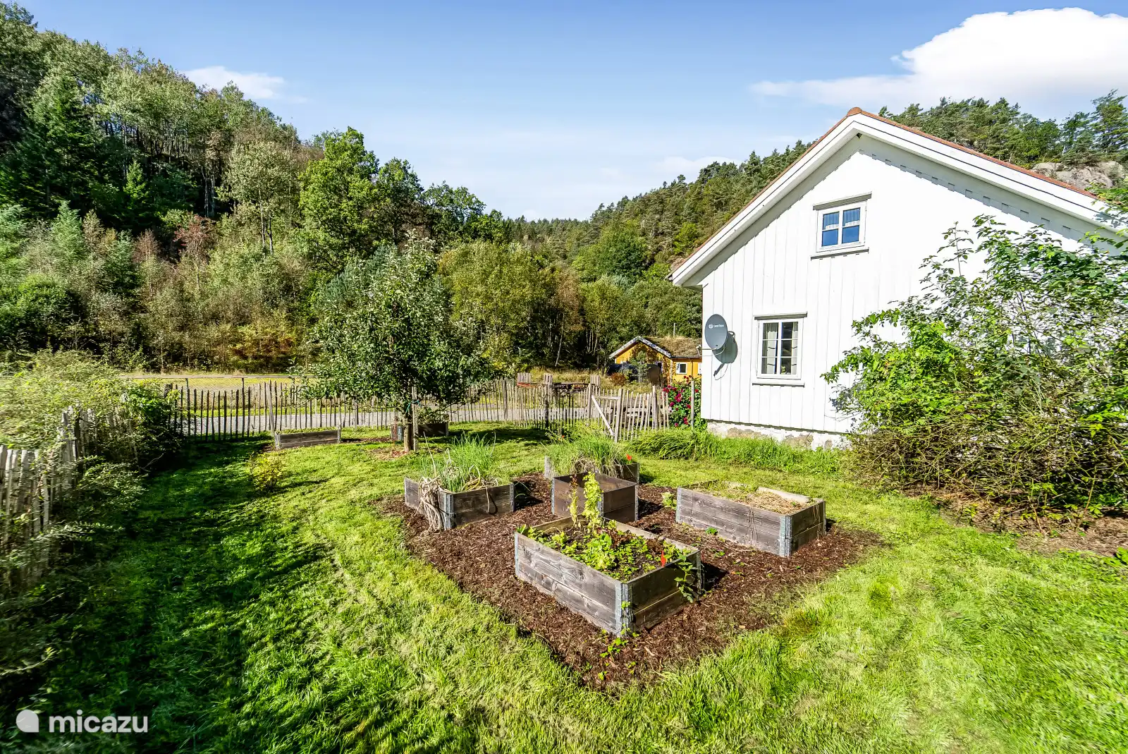 Jardin avec potager